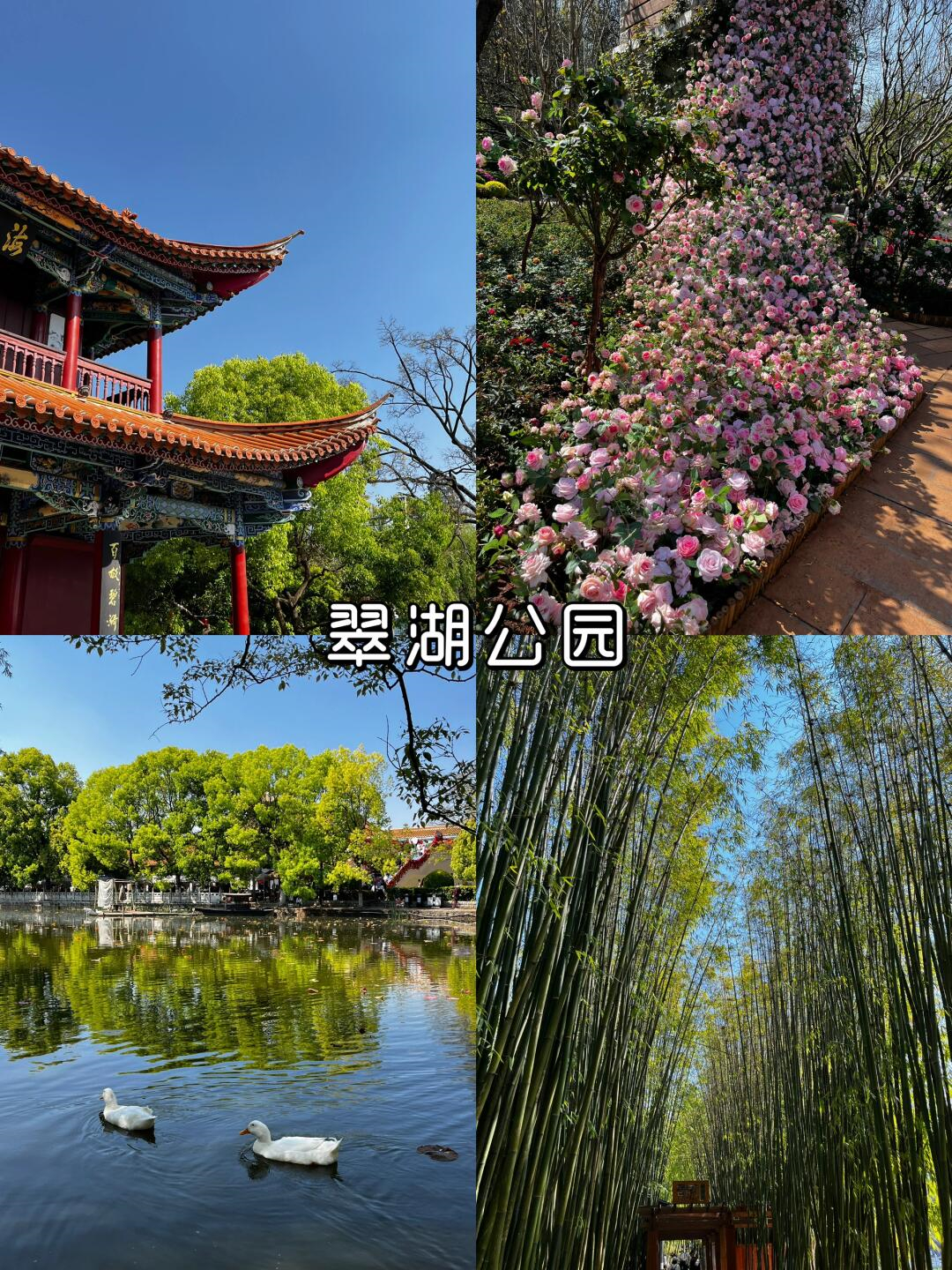 当我的脚步从河南新郑机场昆明长水机场的那一刻起