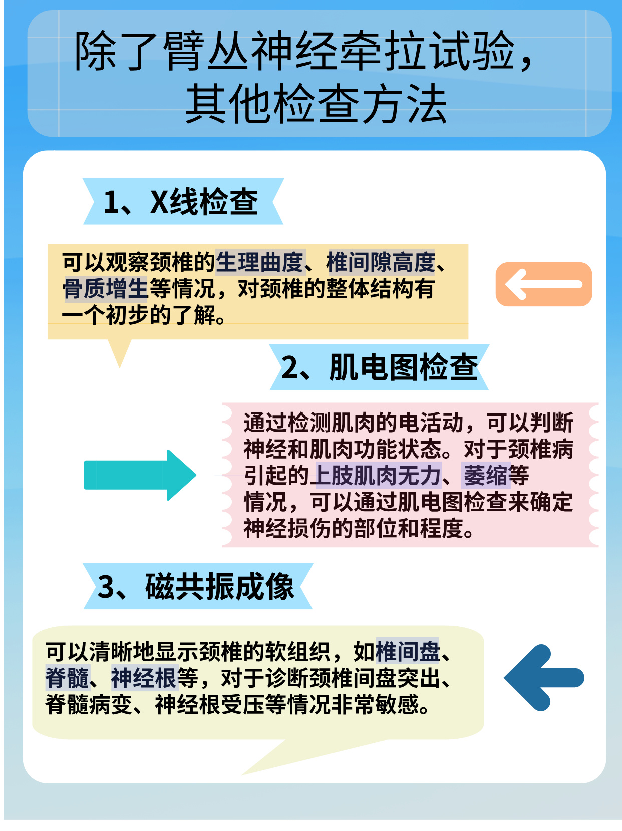 臂丛牵拉实验图片