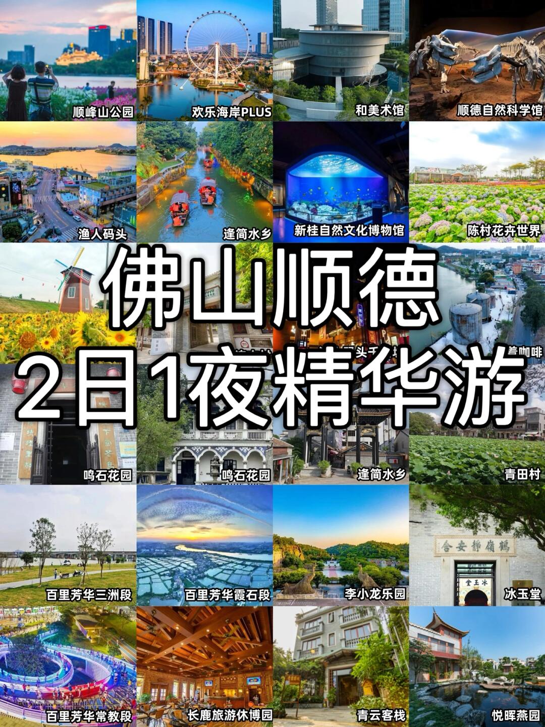 顺德旅游攻略景点必去图片