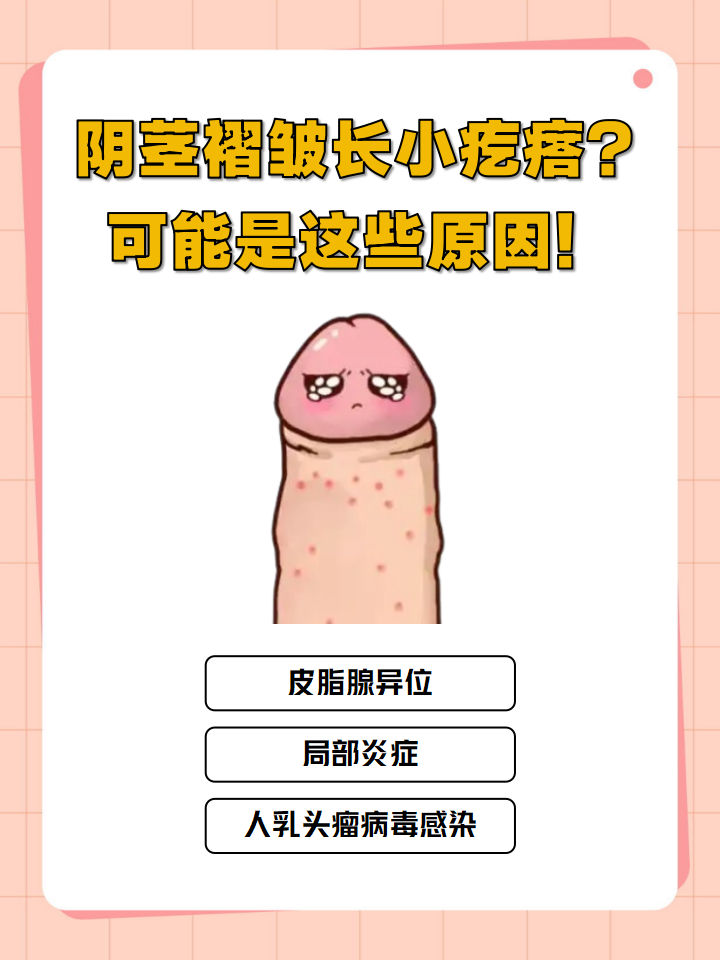 阴茎褶皱长小疙瘩?可能是这些原因!