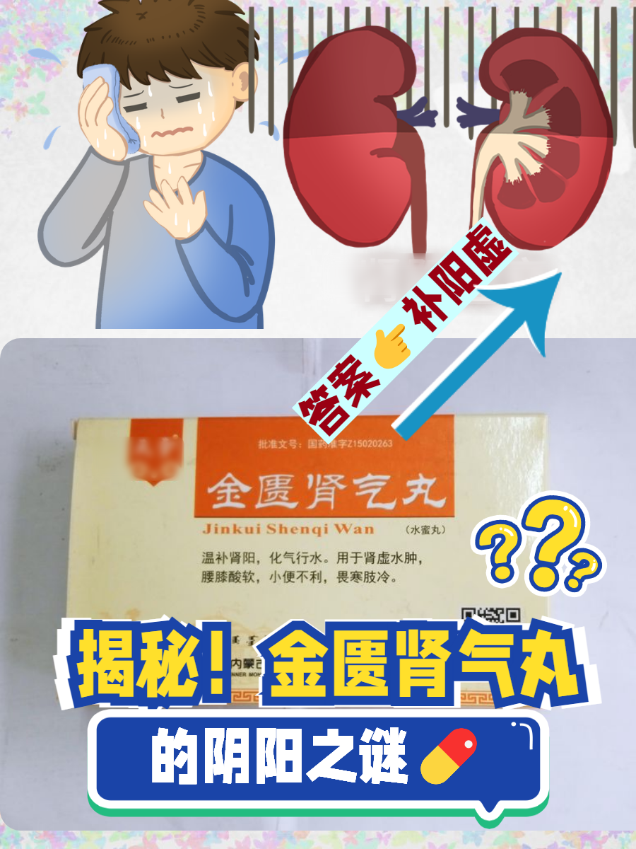 肾阳虚有什么症状男性吃什么食补药的简单介绍
