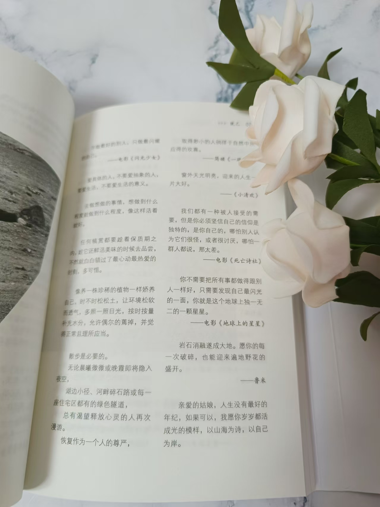 邂逅生活的小确幸   在书页轻启的瞬间,遇见那些直击心灵的文字,韧