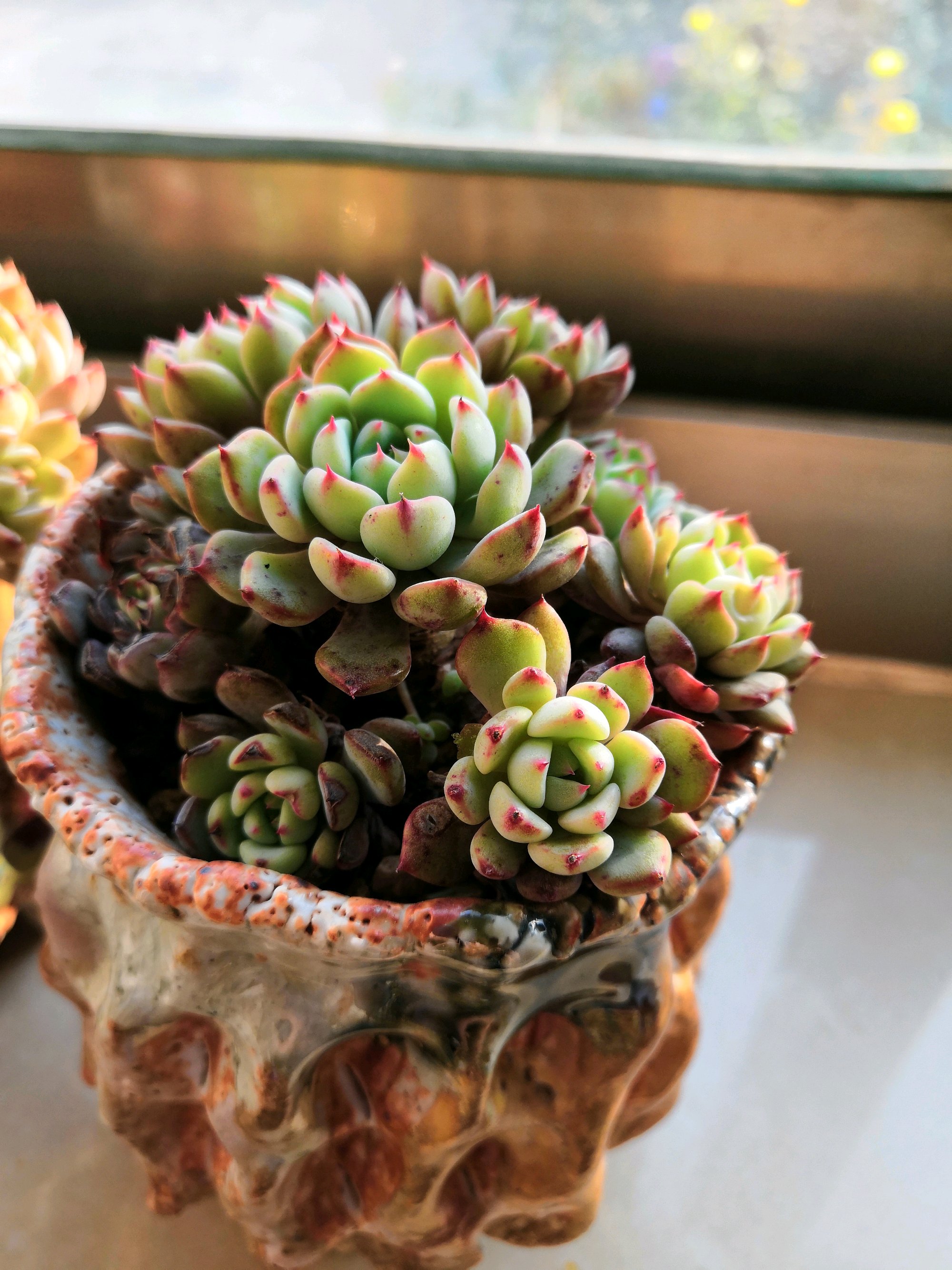 东风渐近 细雨入怀 时节的轮回 在此缓缓展开 轻轻的来轻轻的走