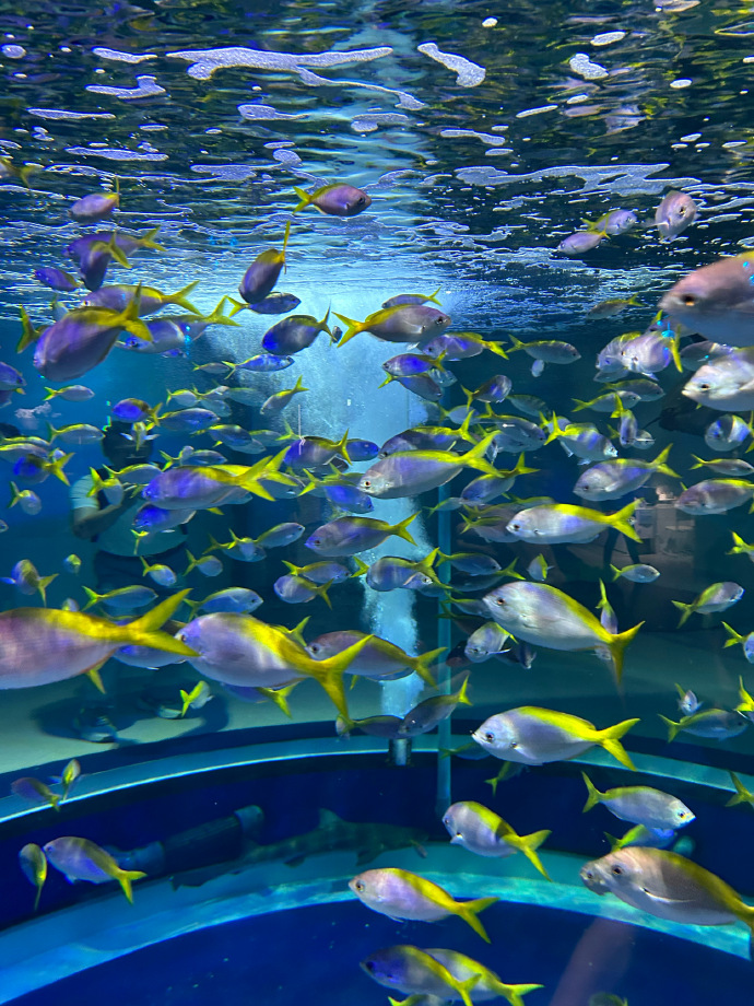 命运这事儿啊,真是让人又爱又恨.你拼了命想抓住的,非得等到最后才懂