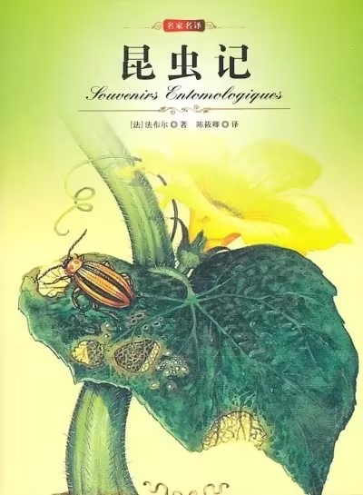 昆虫记的主要内容