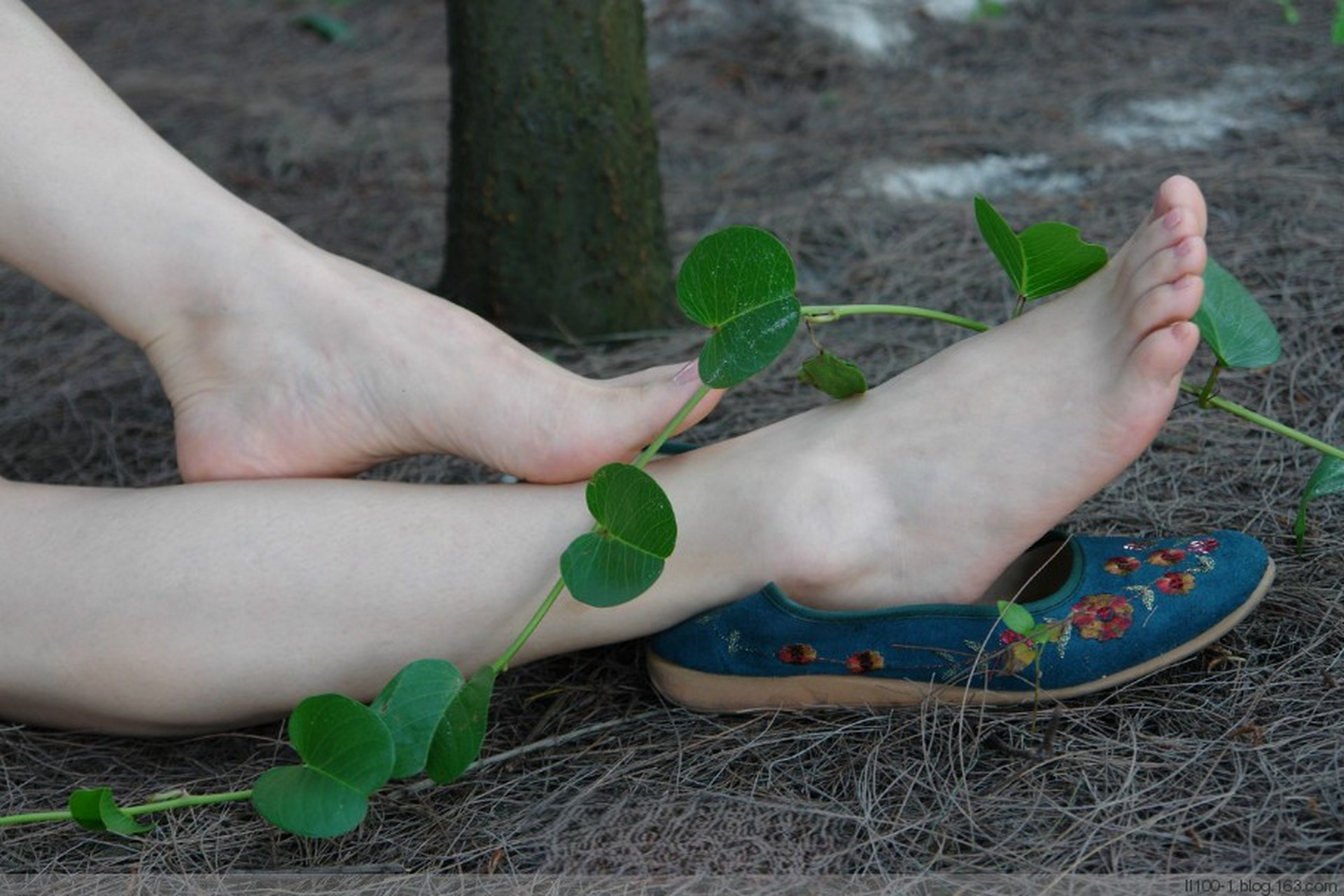 精品玉足系列(3):白嫩光洁如璞玉,形如凤衔琼花美.