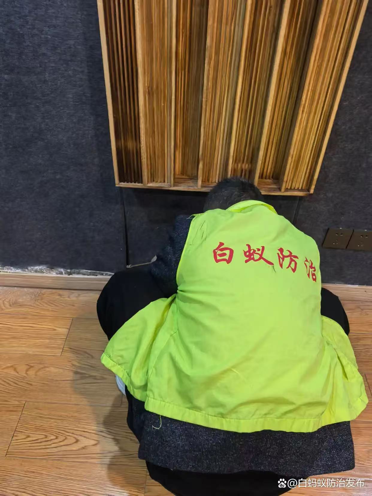 如果你家在淳安遇到白蚁问题可以拨打这个电话咨询防治方法