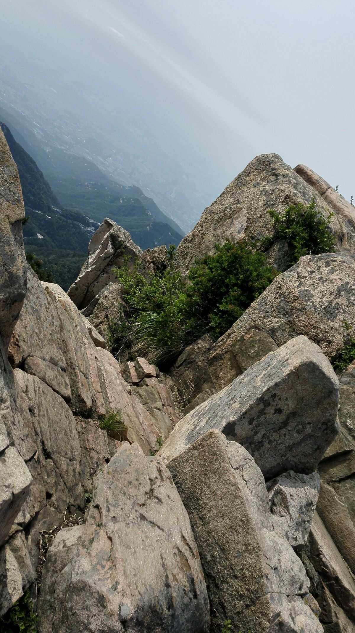 事业和财运究竟有什么区别?