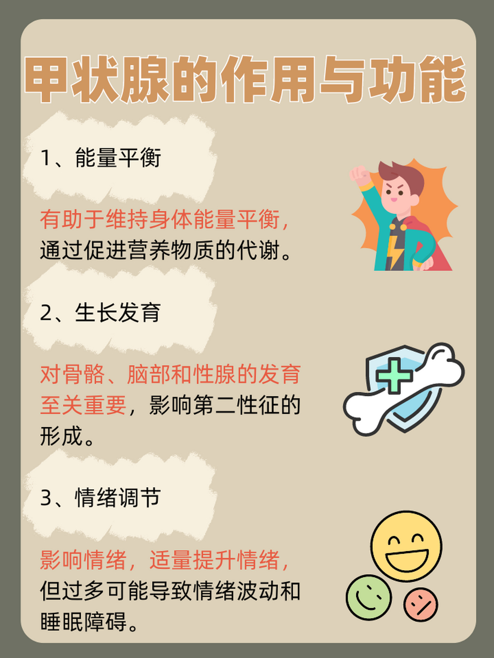 👉甲状腺:它的作用与功能你了解多少?