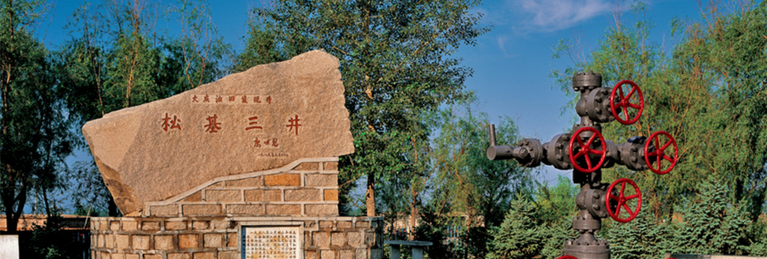 大庆被称为什么