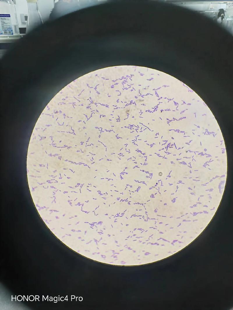 科学家喊话应该立即停止研究!
