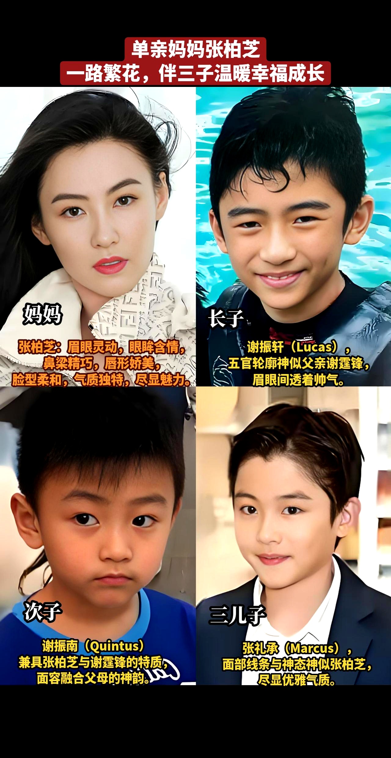 现在她的儿子们长得很帅,人品也很好,这都多亏了张柏芝用心培养