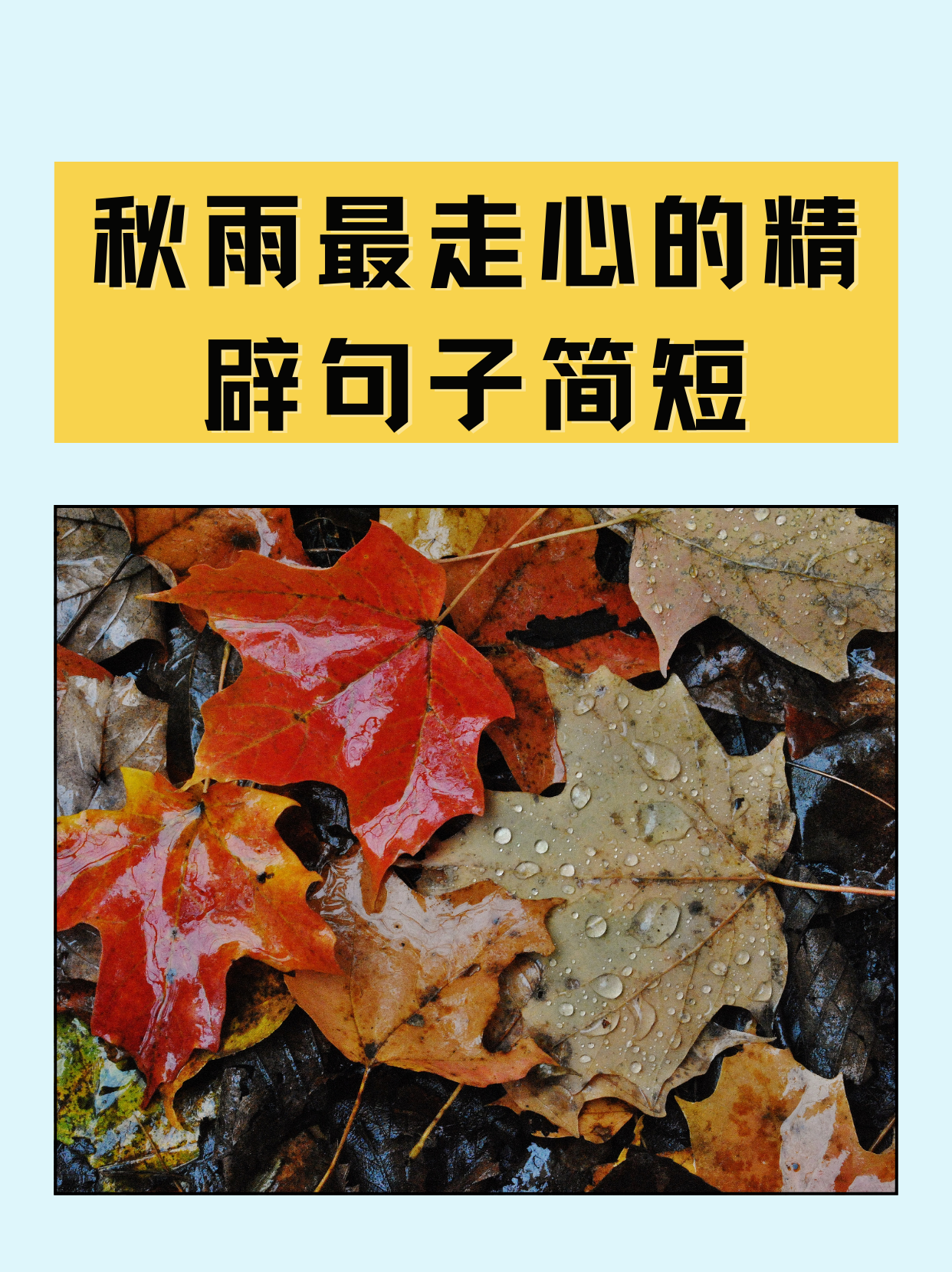 秋雨最走心的精辟句子简短