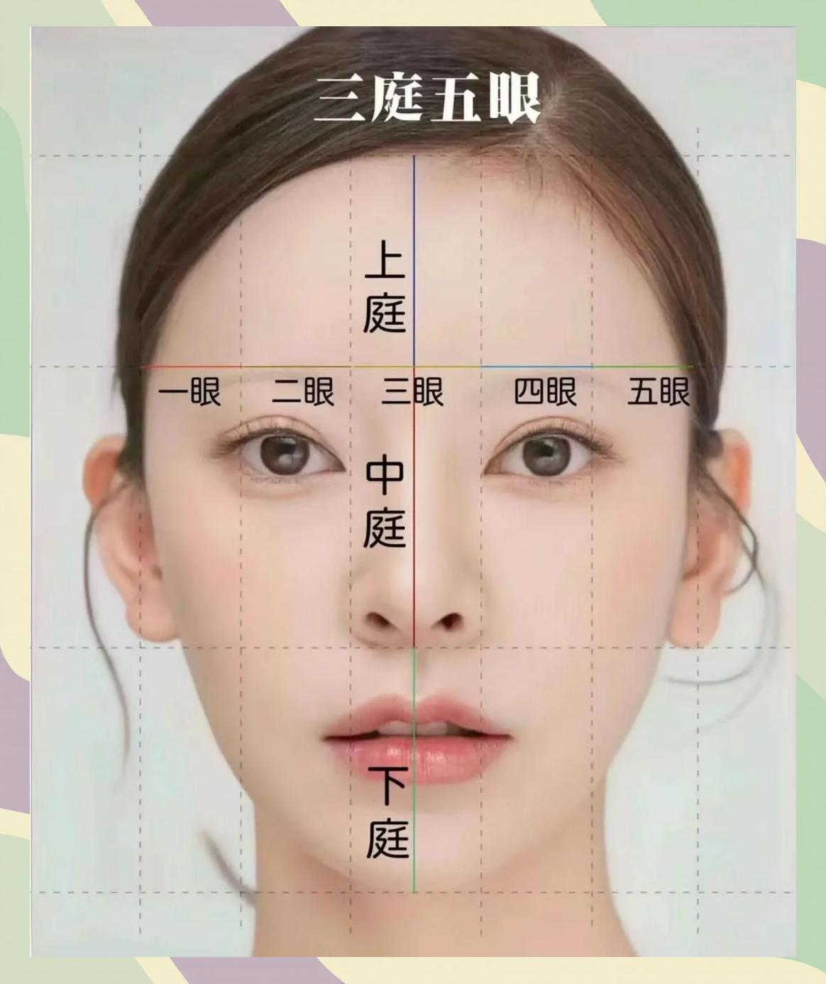 从发际线到眉骨,眉骨到鼻底,鼻底到下巴,这三部分长度大致相同,就