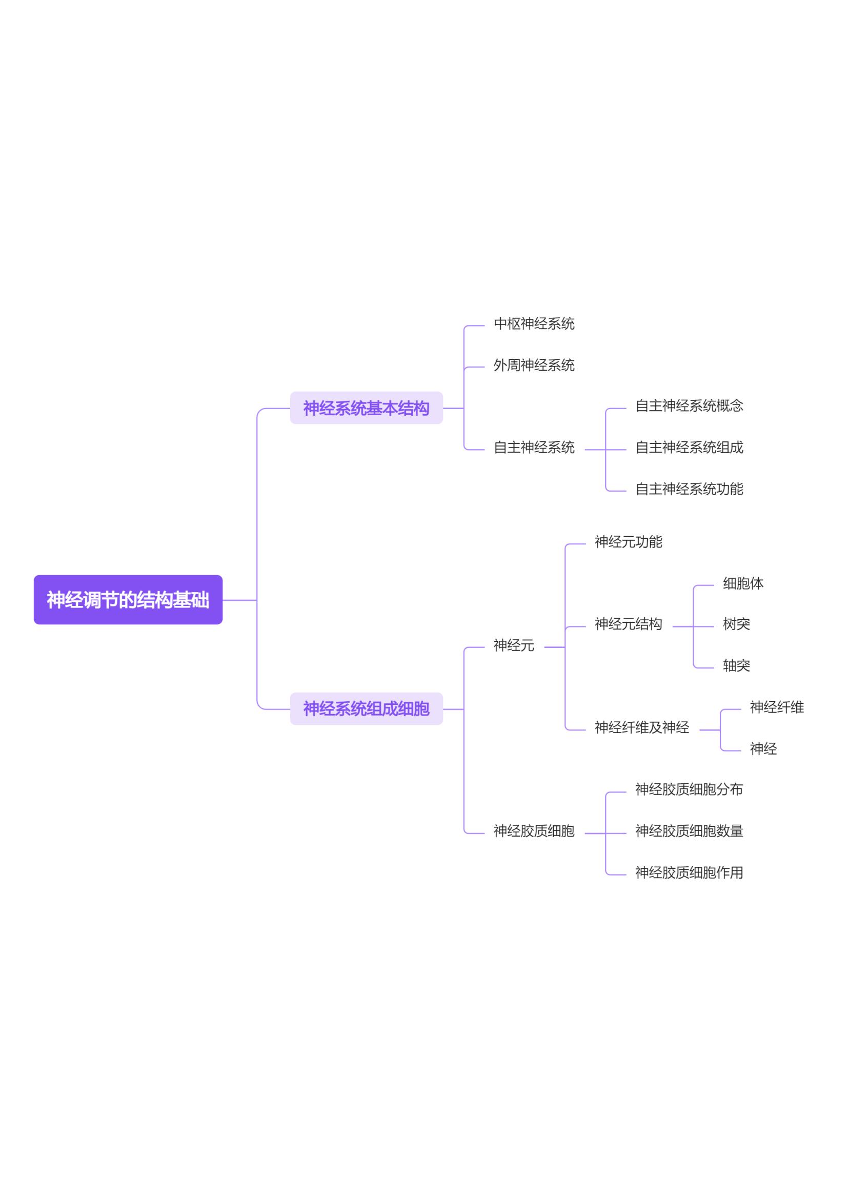 神经调节的结构基础思维导图