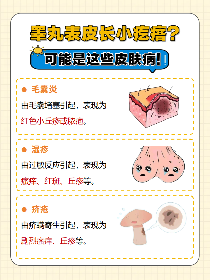 毛囊炎 湿疹 疥