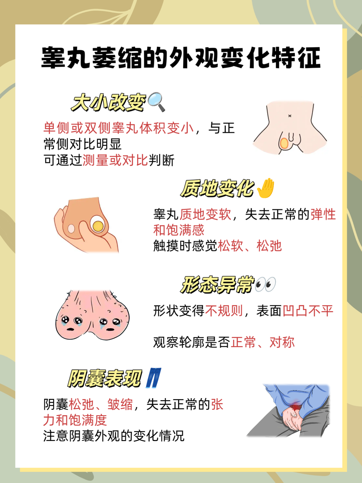 睾丸萎缩的典型症状,男性要警惕