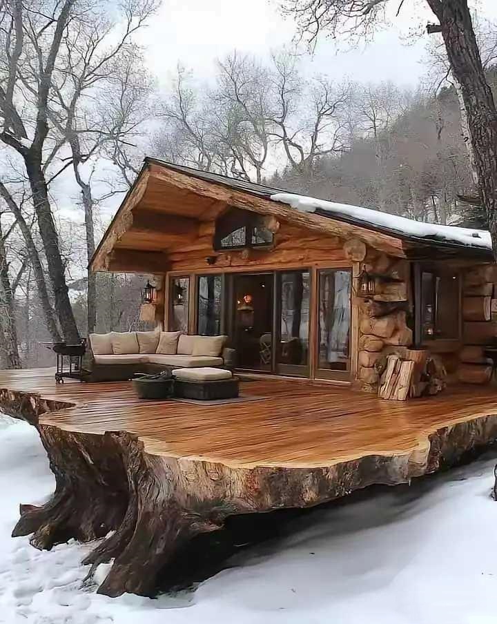 纯木的房子感觉很特别呢.要是你有这么一栋房子会怎么样?