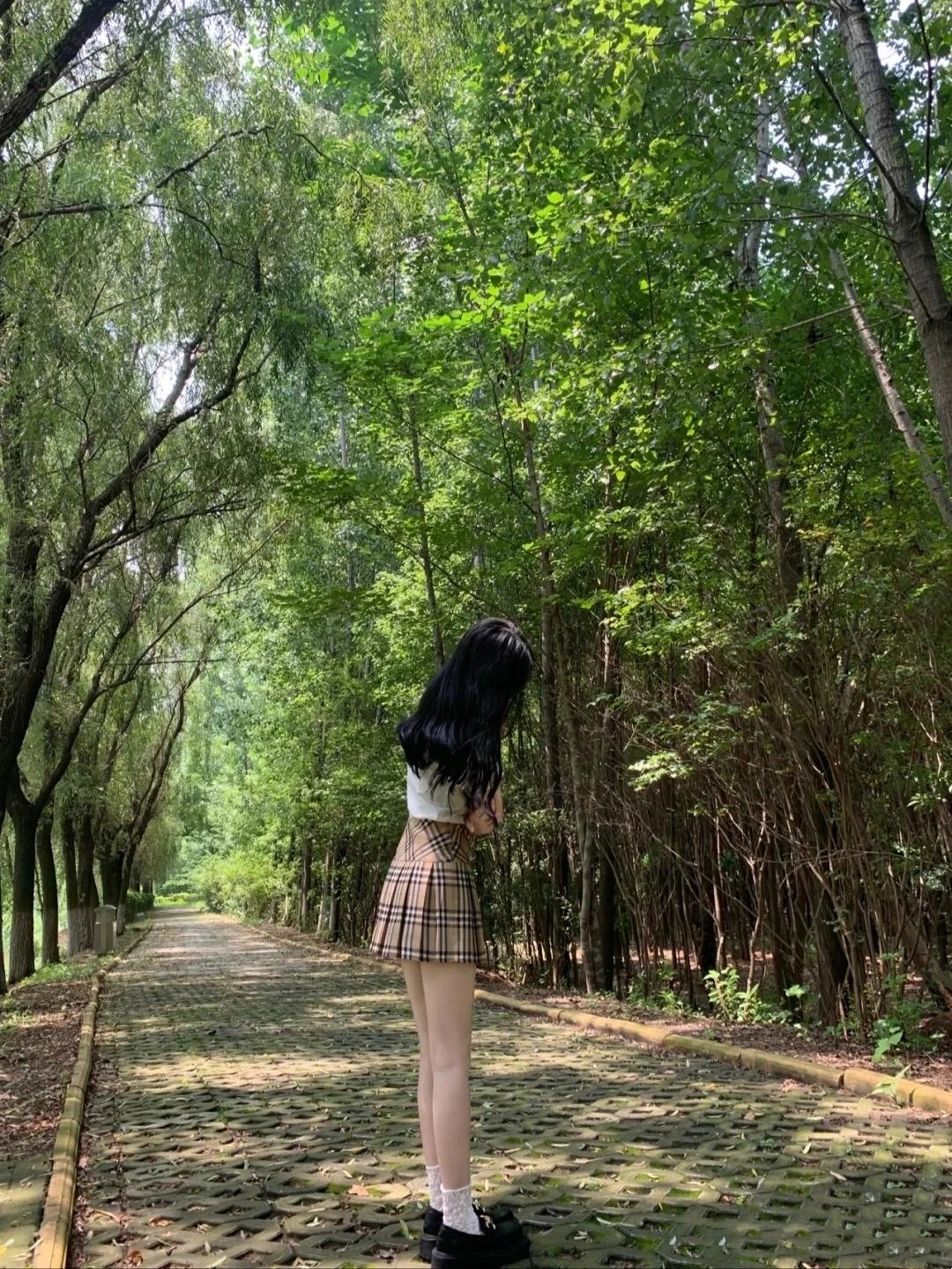 阳光透过树叶的缝隙洒下形成一片片斑驳的光影