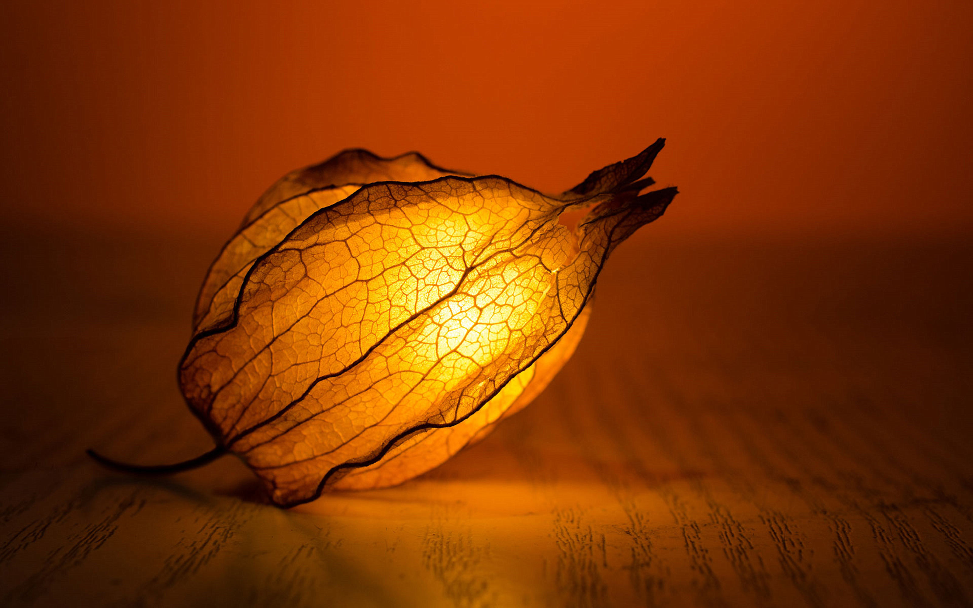 厂牌系列:金立m13 pad pro