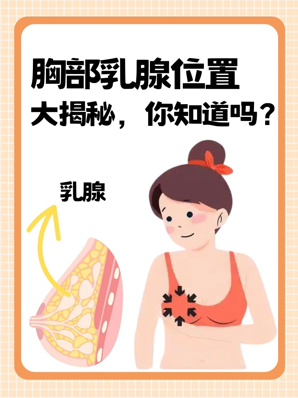 乳腺,作为身体独特且关键的部分,常常引发诸多疑问.