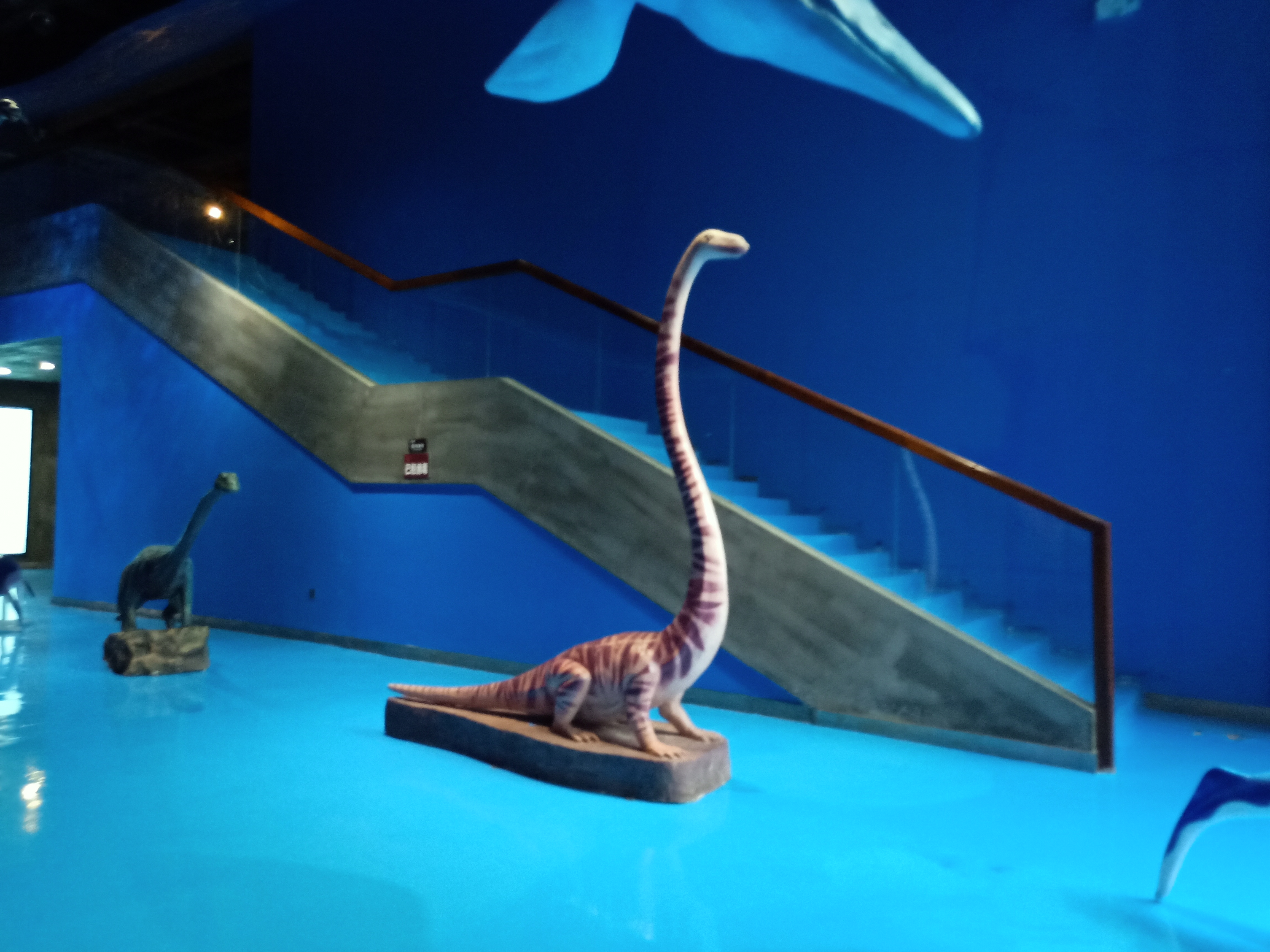 贵州龙化石,这一自然历史的瑰宝,静静地躺在贵州的地质层中,穿越亿万