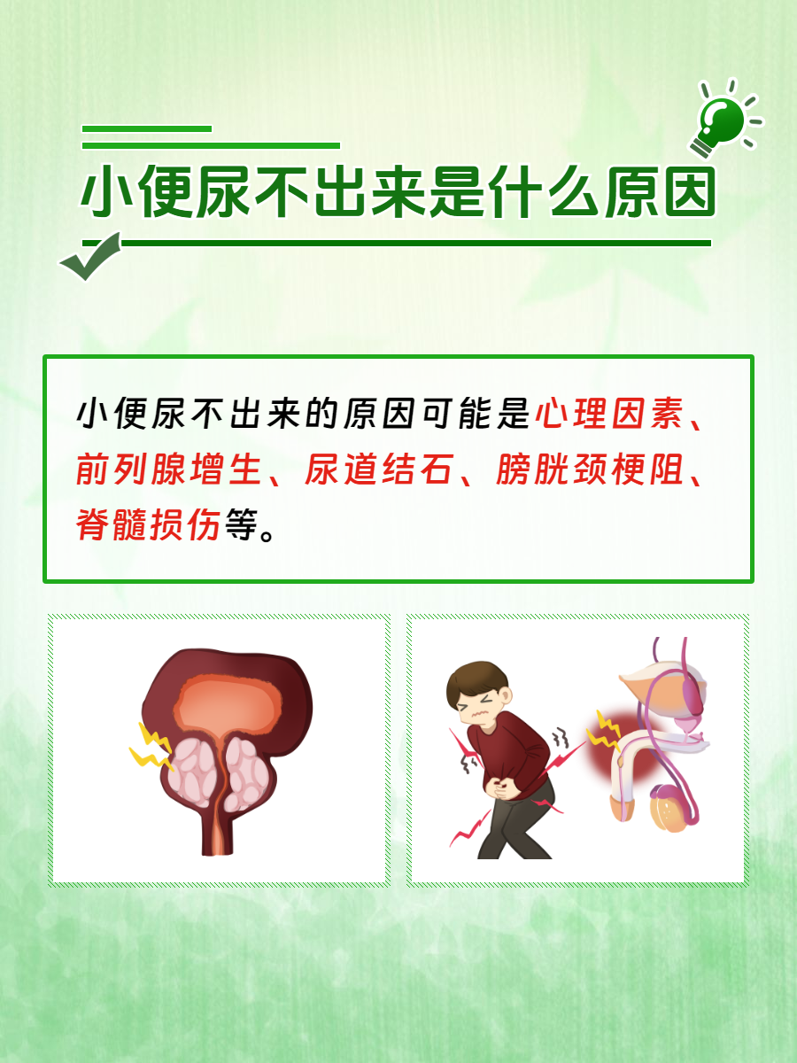 为什么总是想小便的感觉要吃什么药为什么在线