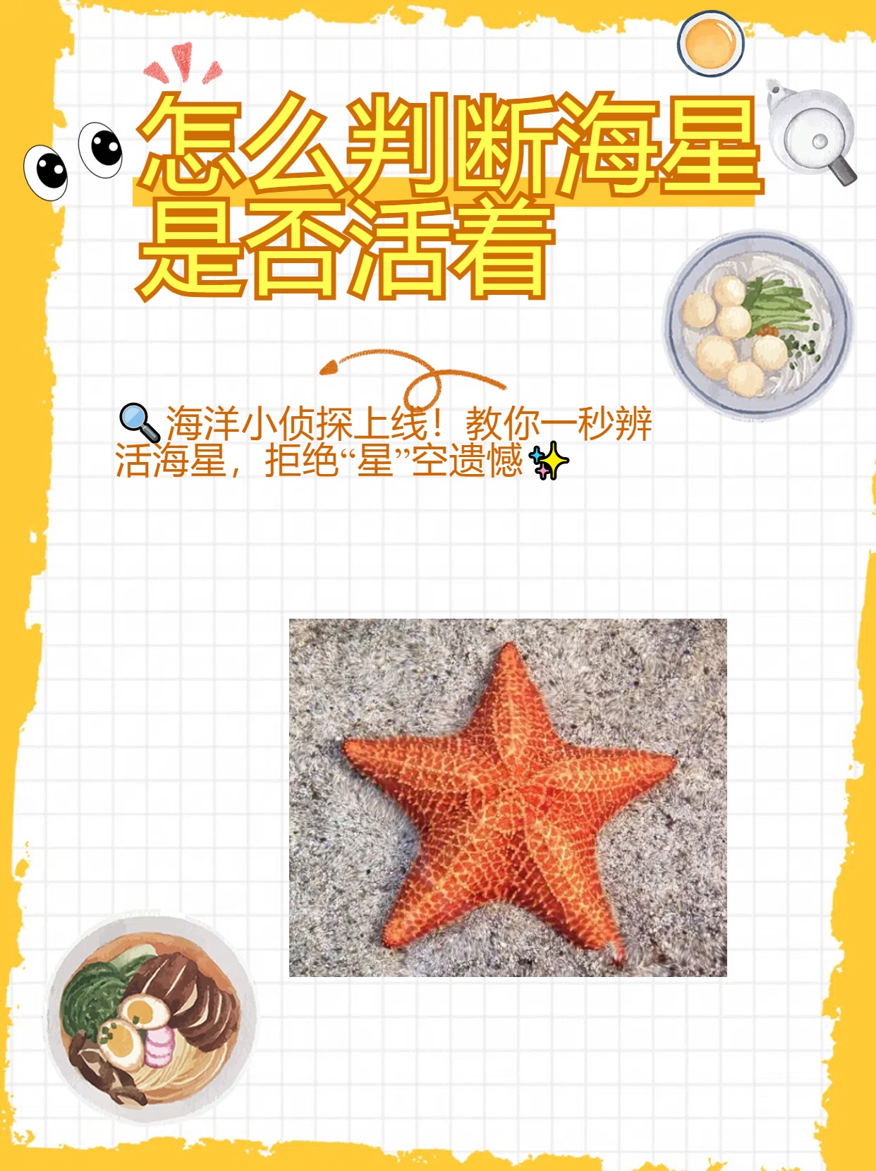 怎么判断海星是否活着 今天咱们来一场说走就走的海洋探险不过别担心