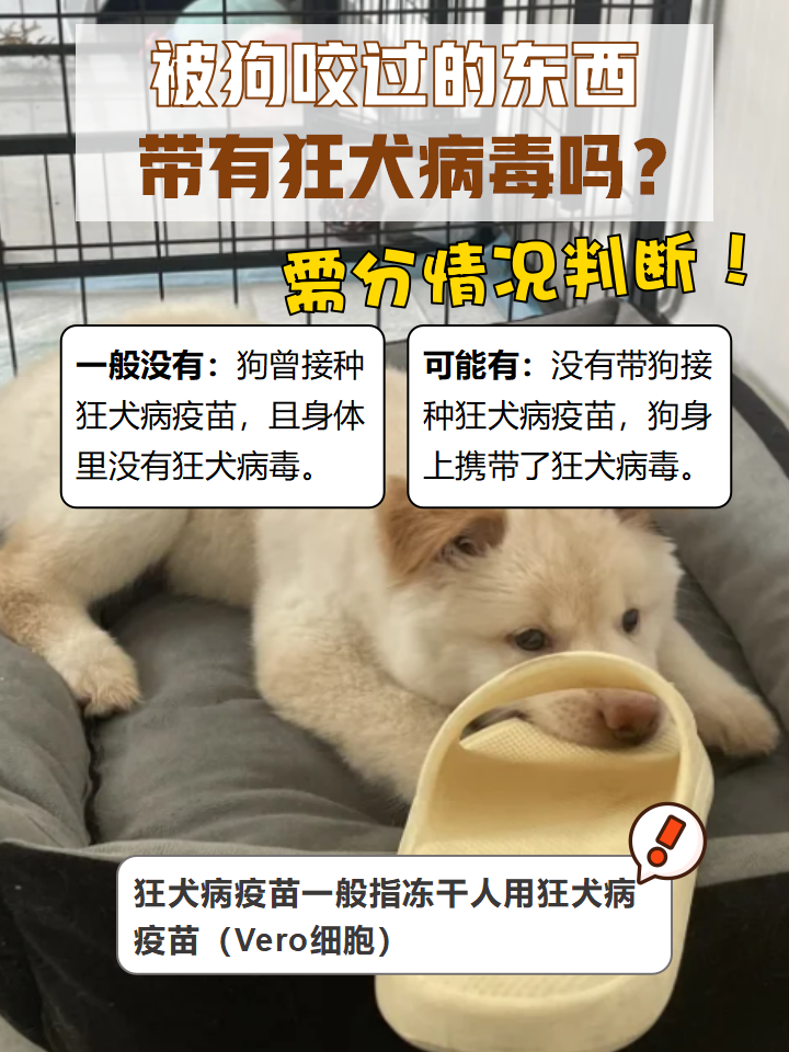 狂犬病毒是一种嗜神经性病毒,在猫,狗等动物身上比较常见,一旦感染