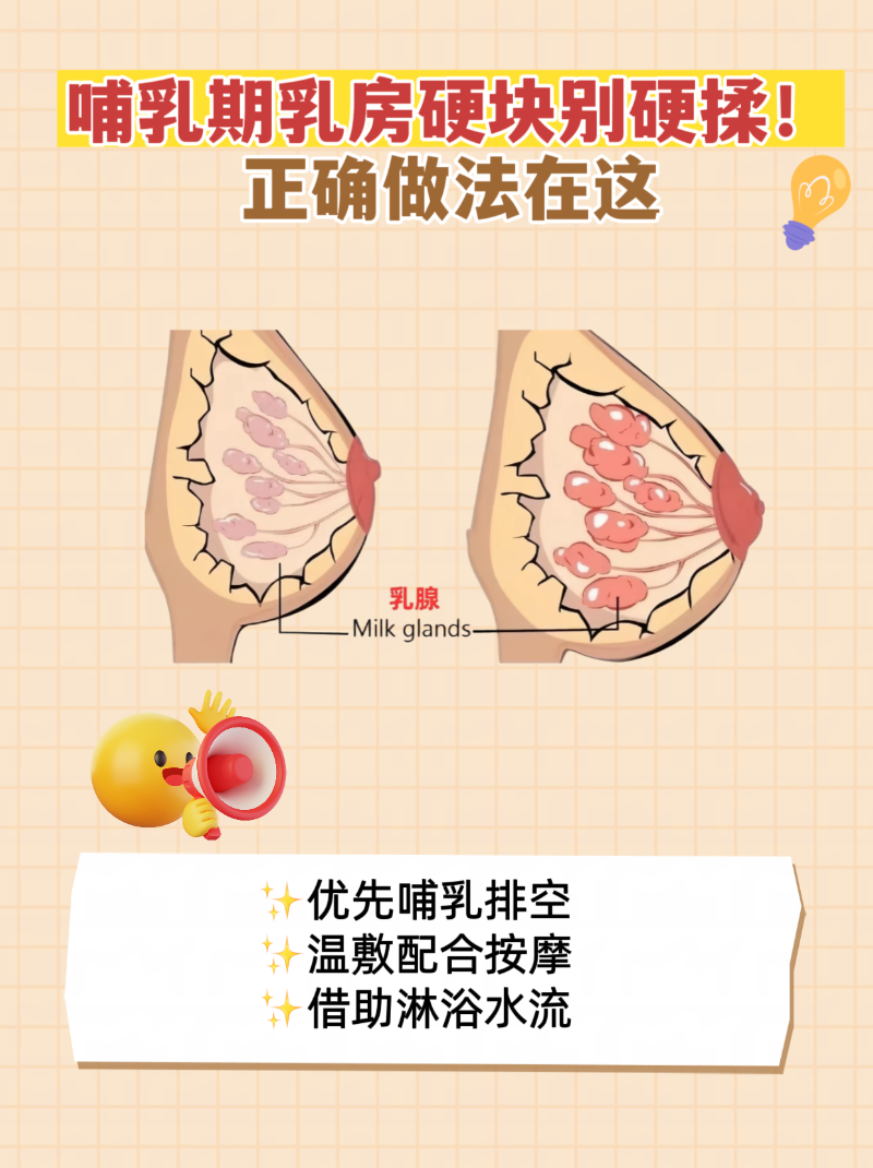 为什么乳头硬 为什么乳头硬
