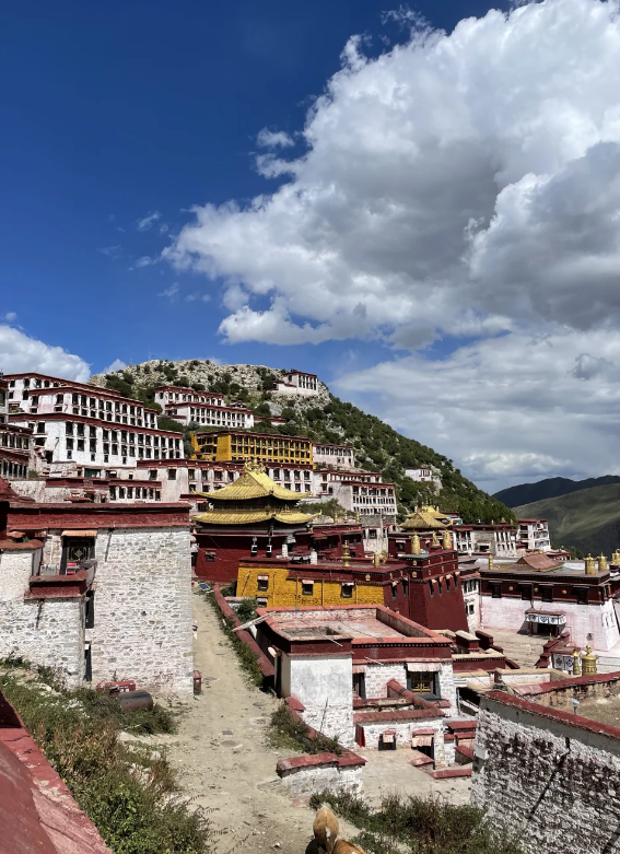 甘丹寺超精彩游玩攻略来袭 今天必须把超赞的甘丹寺游玩攻略分享给