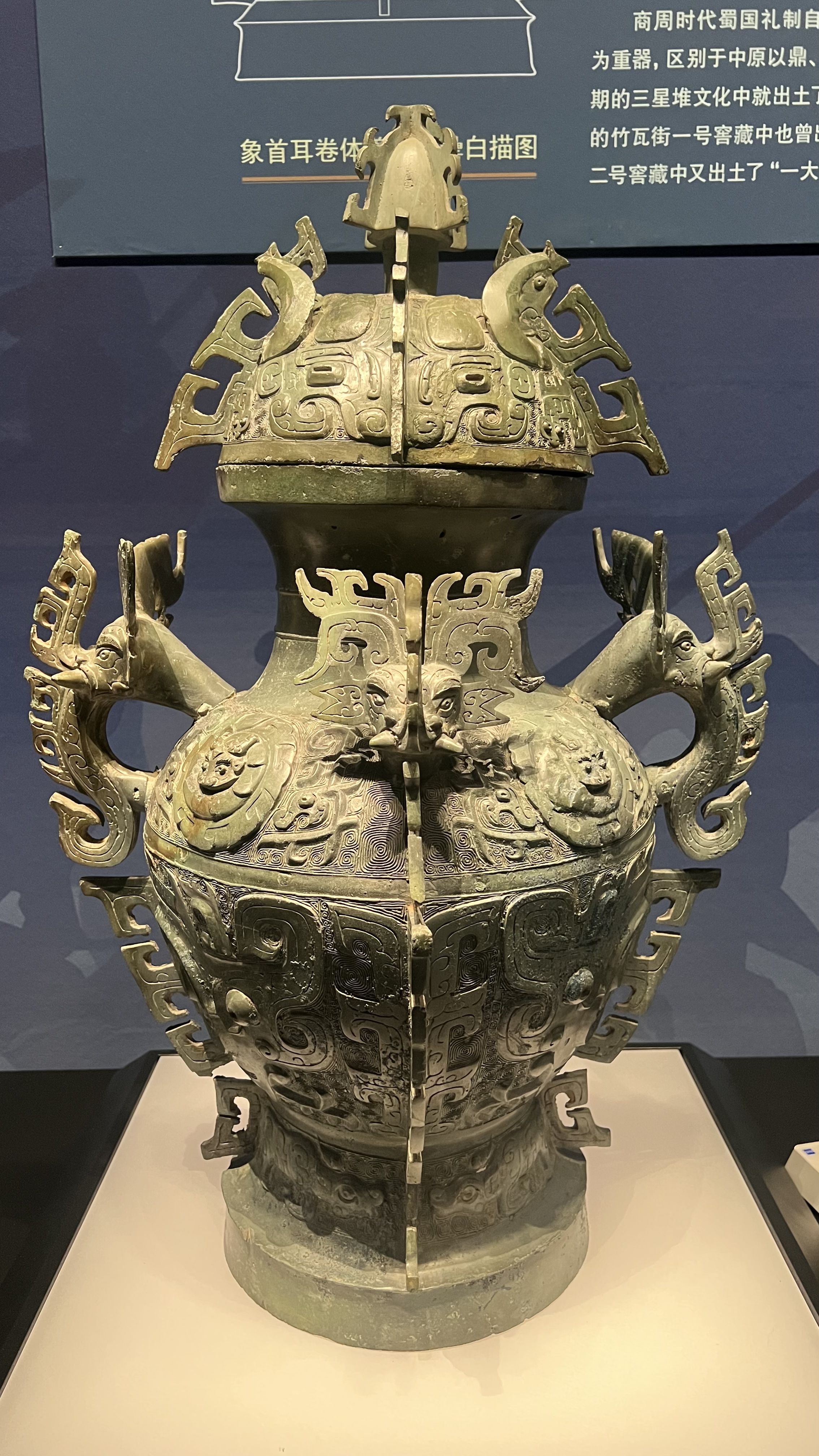 这是四川博物院的镇馆之宝象首耳卷体夔纹铜罍,铜罍属于西周早期器物