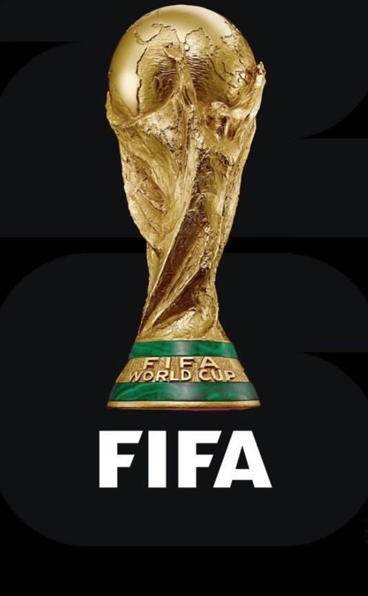 世界杯 全球足球 盛宴的辉相关图片2