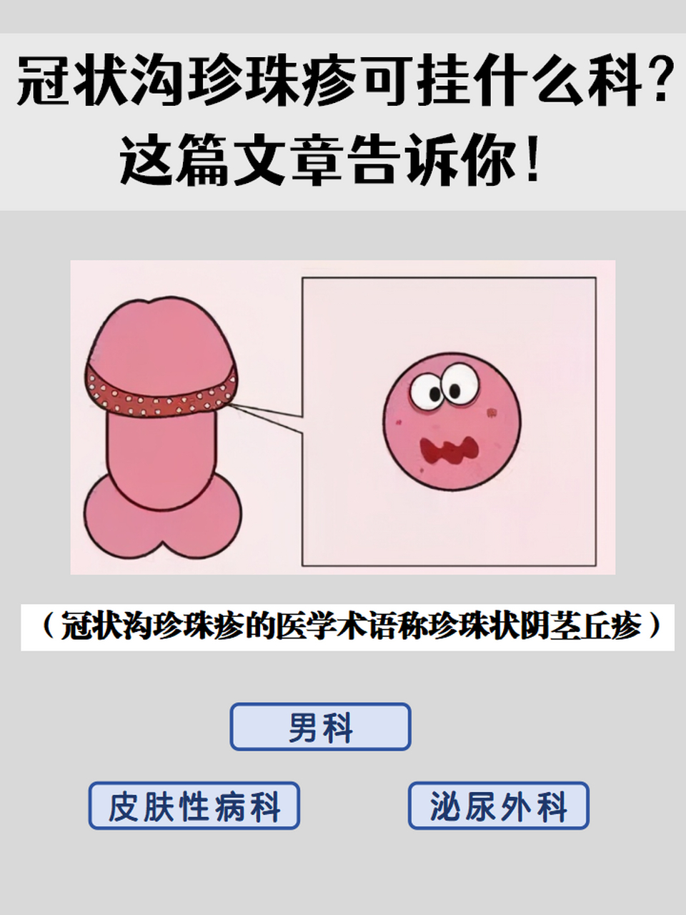 [微风]今天来为大家分享一种常发生于男性阴茎上的丘疹——冠状沟珍珠