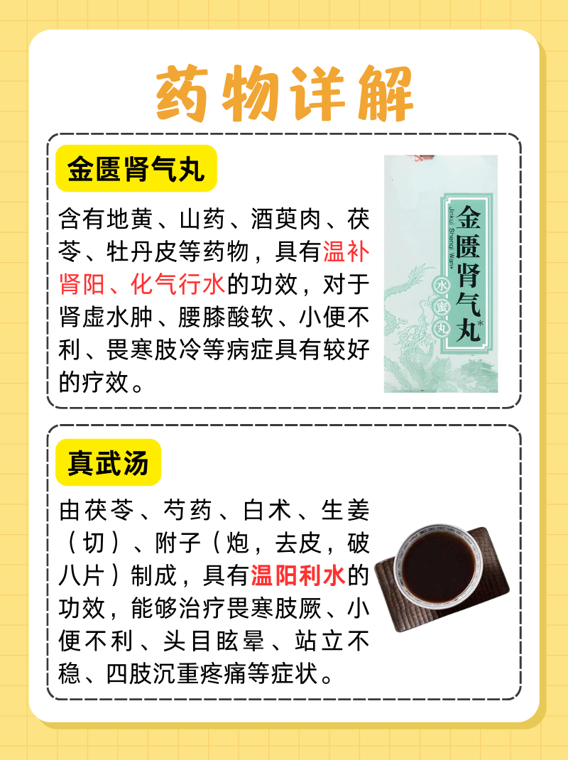 阴阳两虚吃一种药就可以金匮肾气丸能治疗腰骨痛吗?的简单介绍
