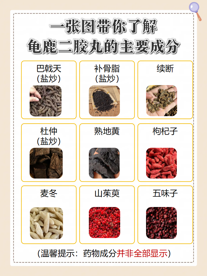 龟鹿二胶丸究竟有哪些功效和作用?
