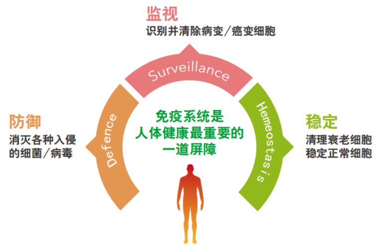 咳嗽多久能减轻？