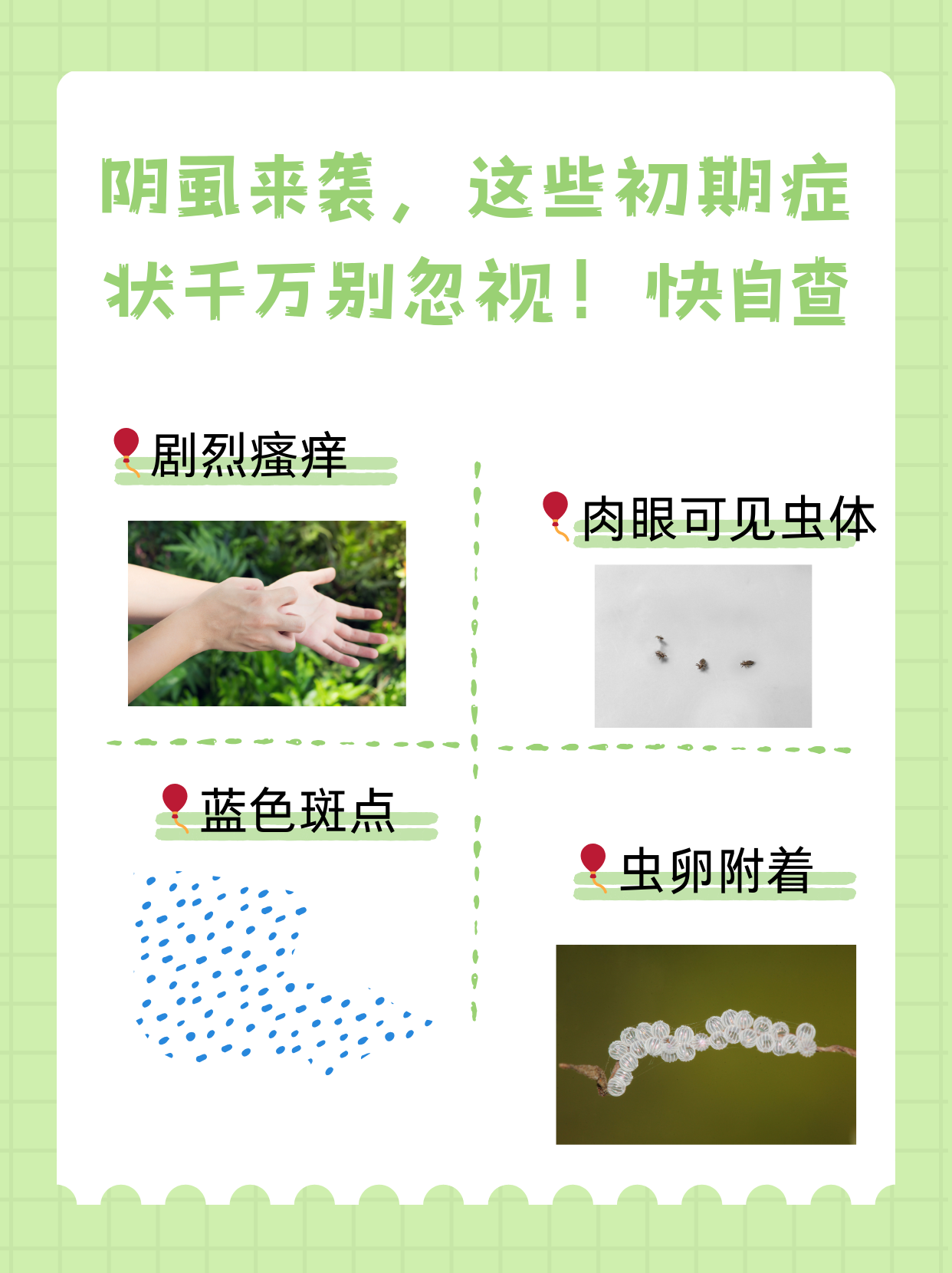 别慌,下面就为你详细介绍女性患阴虱的主要症状