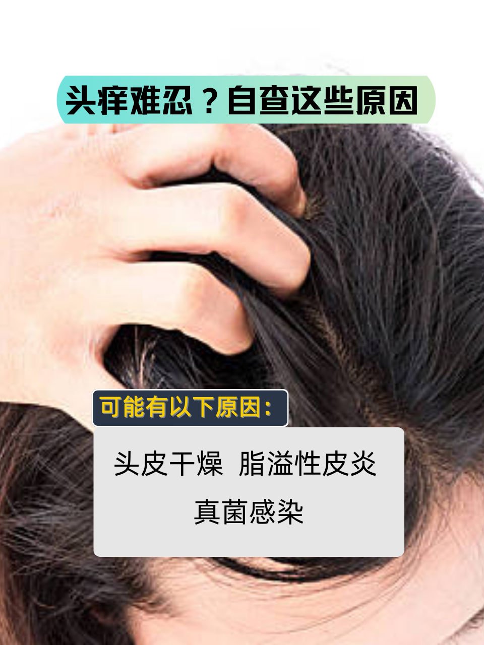 为什么头皮总是很痒还掉头发为什么在线