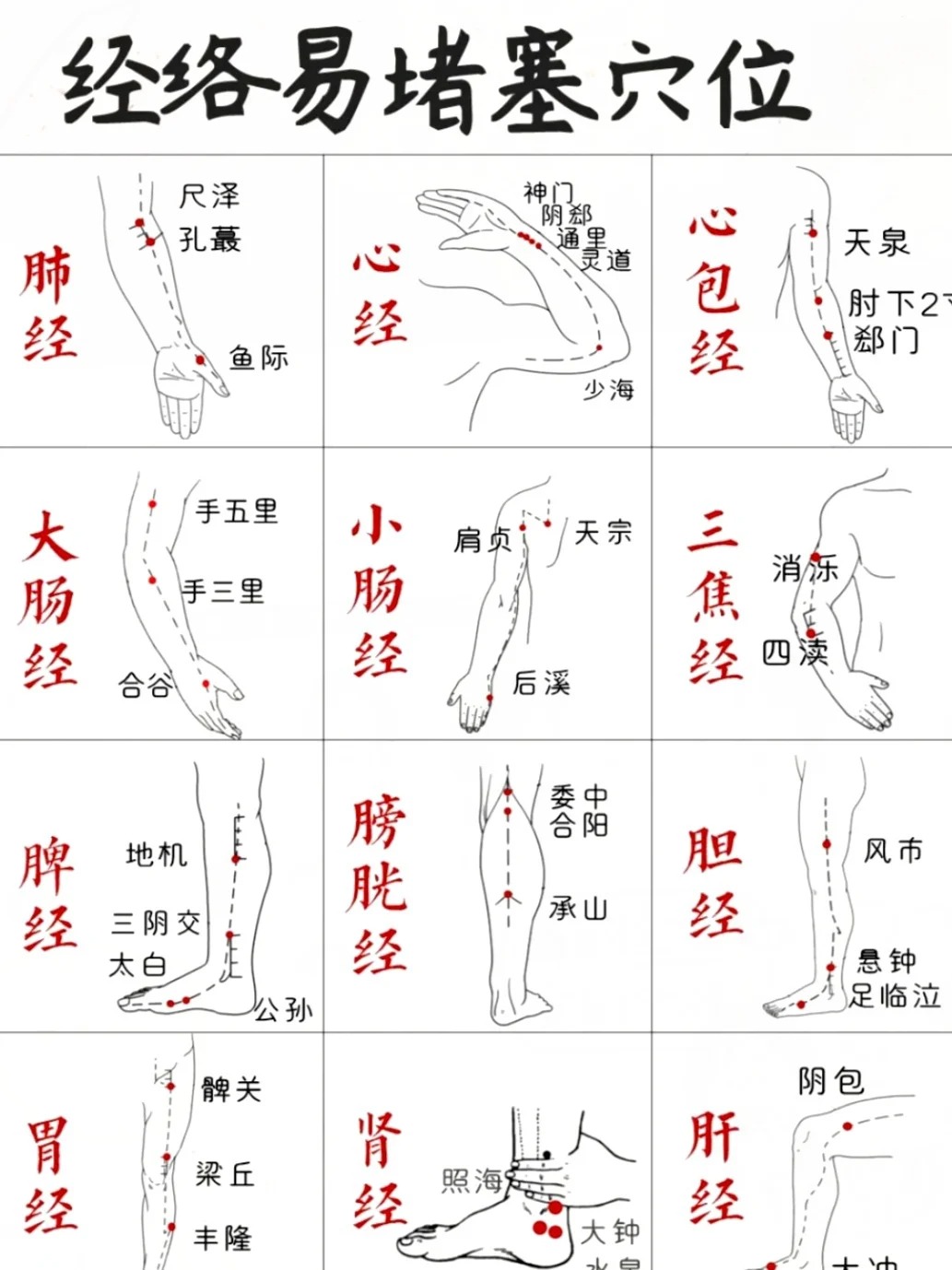 人体全身血位图及作用图片