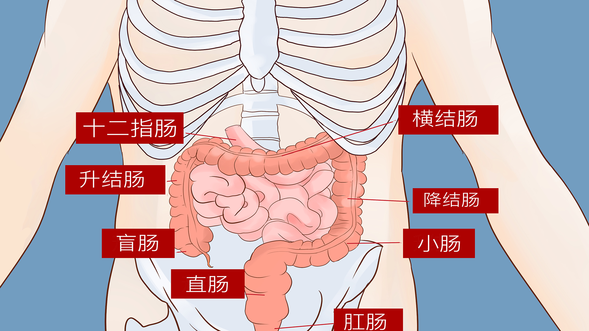 直肠癌一二三四期标准 直肠癌的分期主要根据肿瘤的