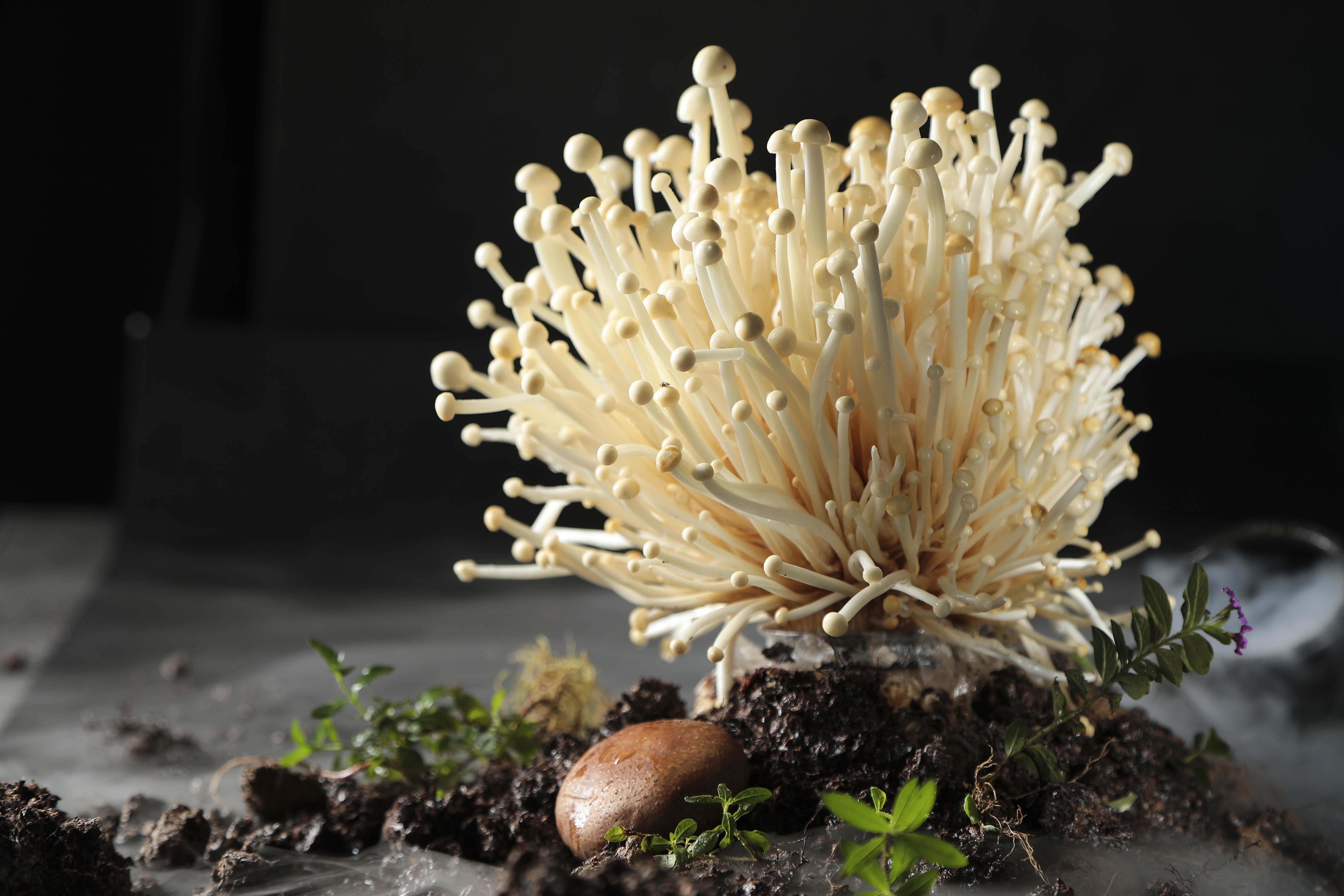 是啊,冬天吃热腾腾的火锅是为了驱寒,那春天呢?