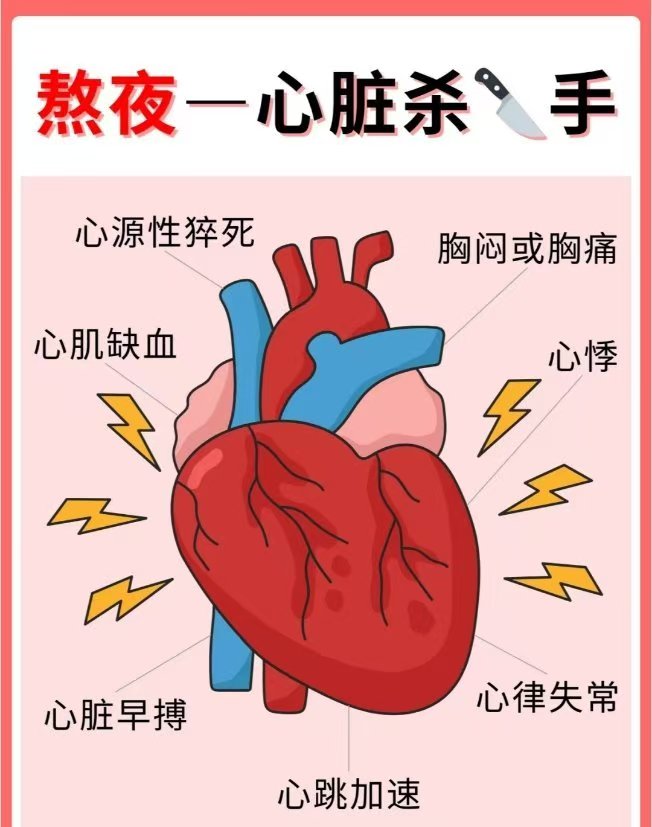 当我们熬夜时,身体的生物钟被打乱,心脏也不得不跟着加班加点地工作