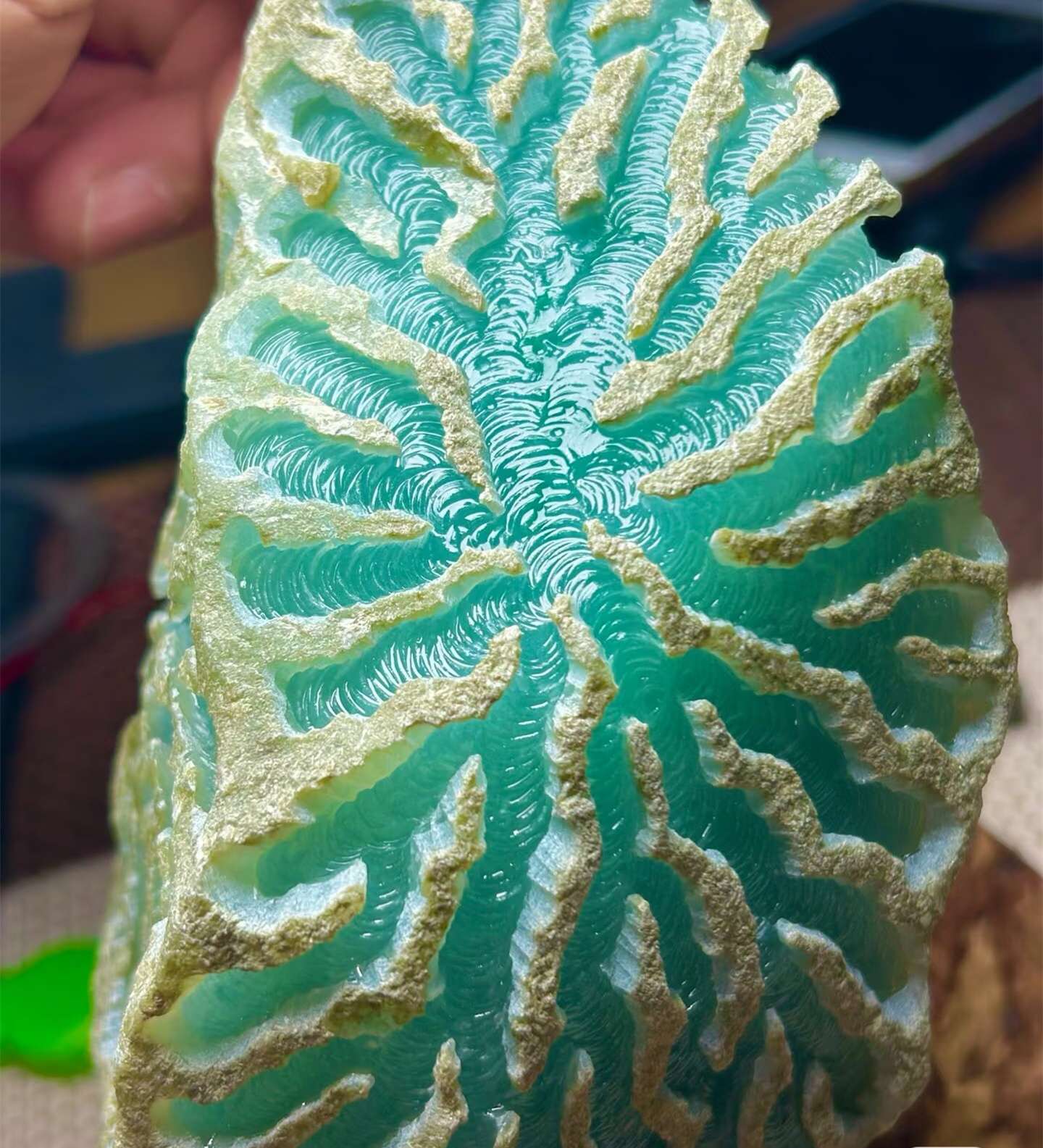 墨翠 在自然光下呈浓郁的黑色看似沉闷打灯后却透出幽深的绿色藏