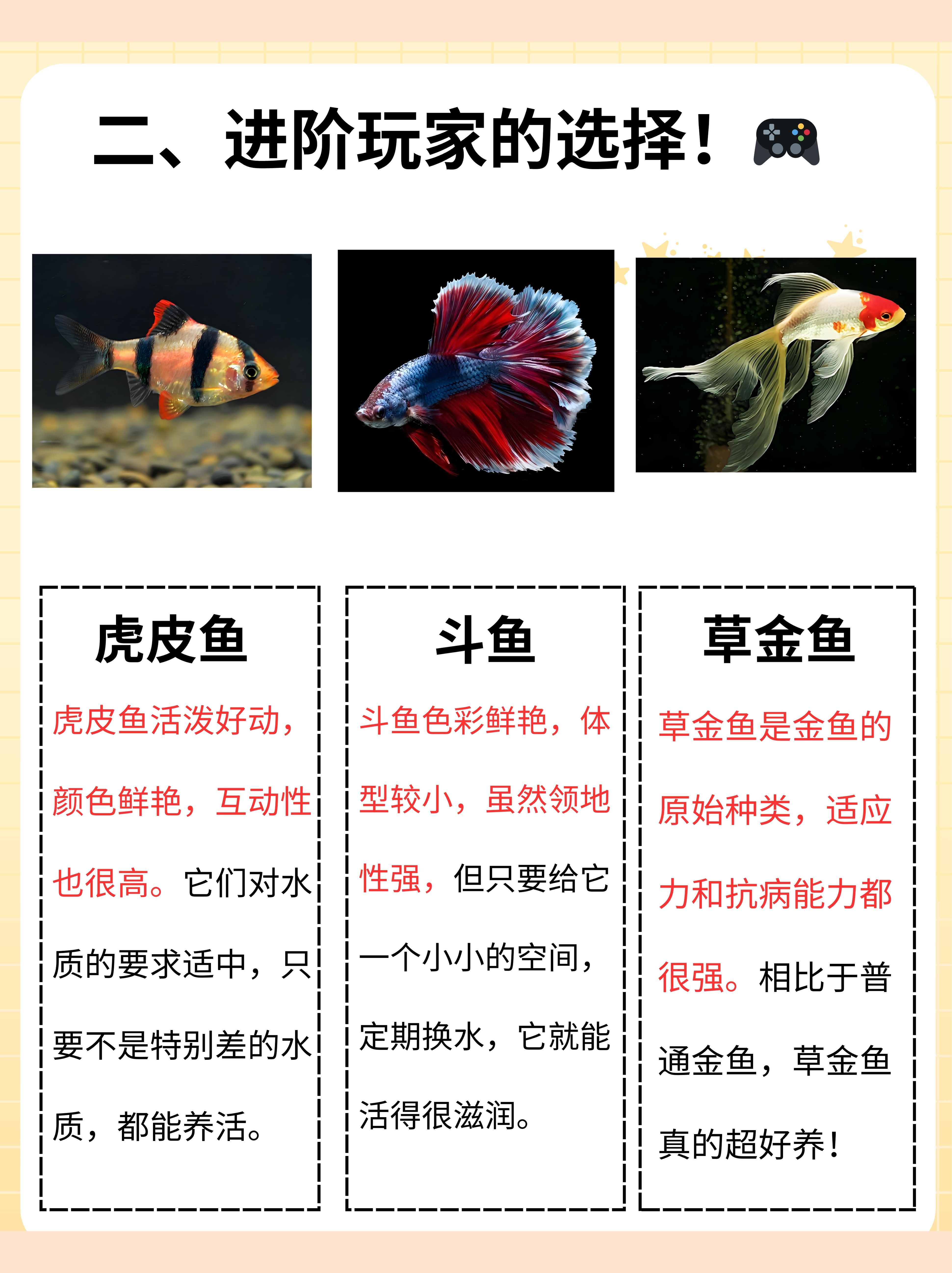 qq空间海底鱼的配对=空间海底鱼的配对码是多少