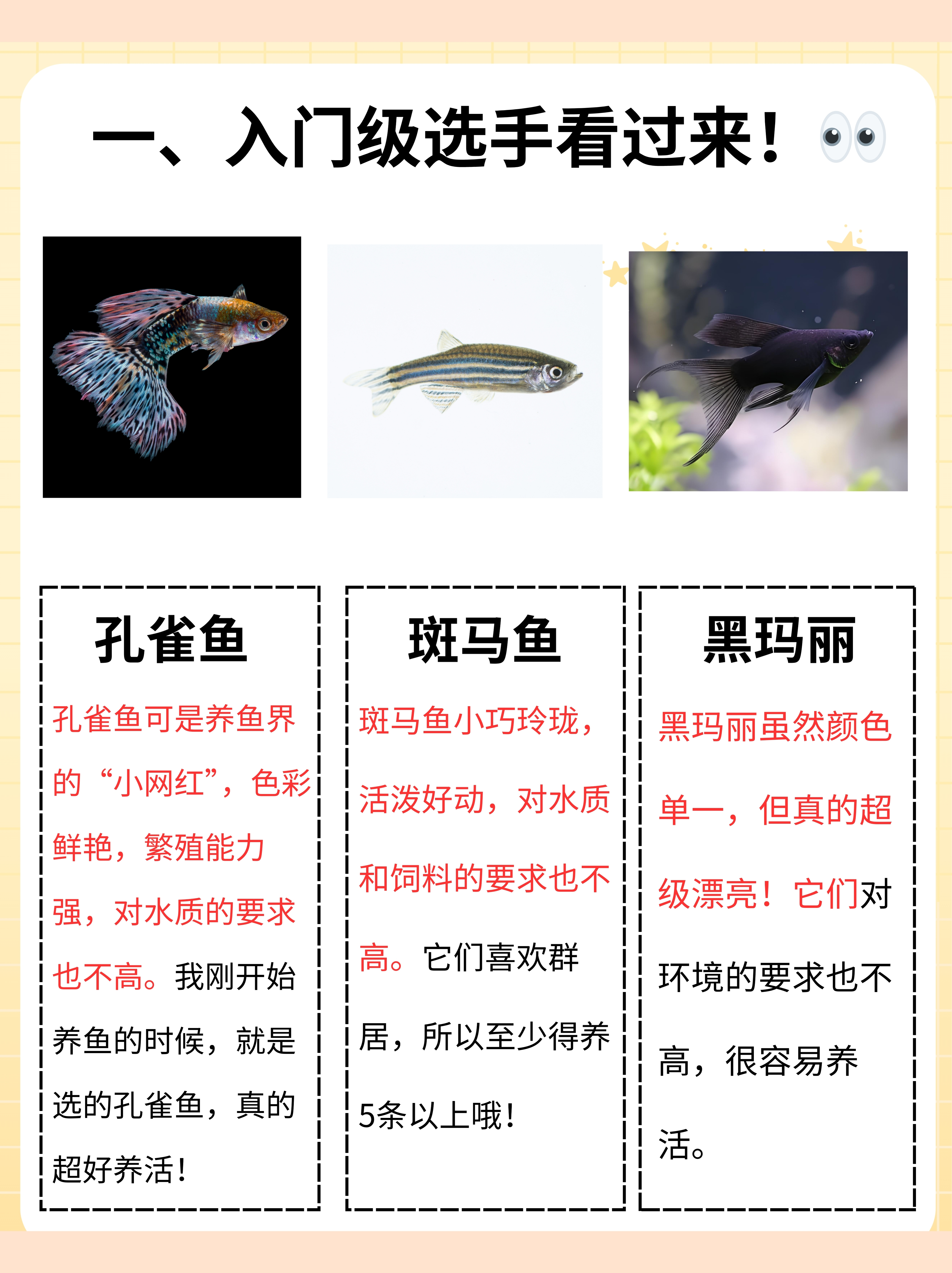 致富三农视频养鱼教程(致富三农视频养鱼教程完整版)