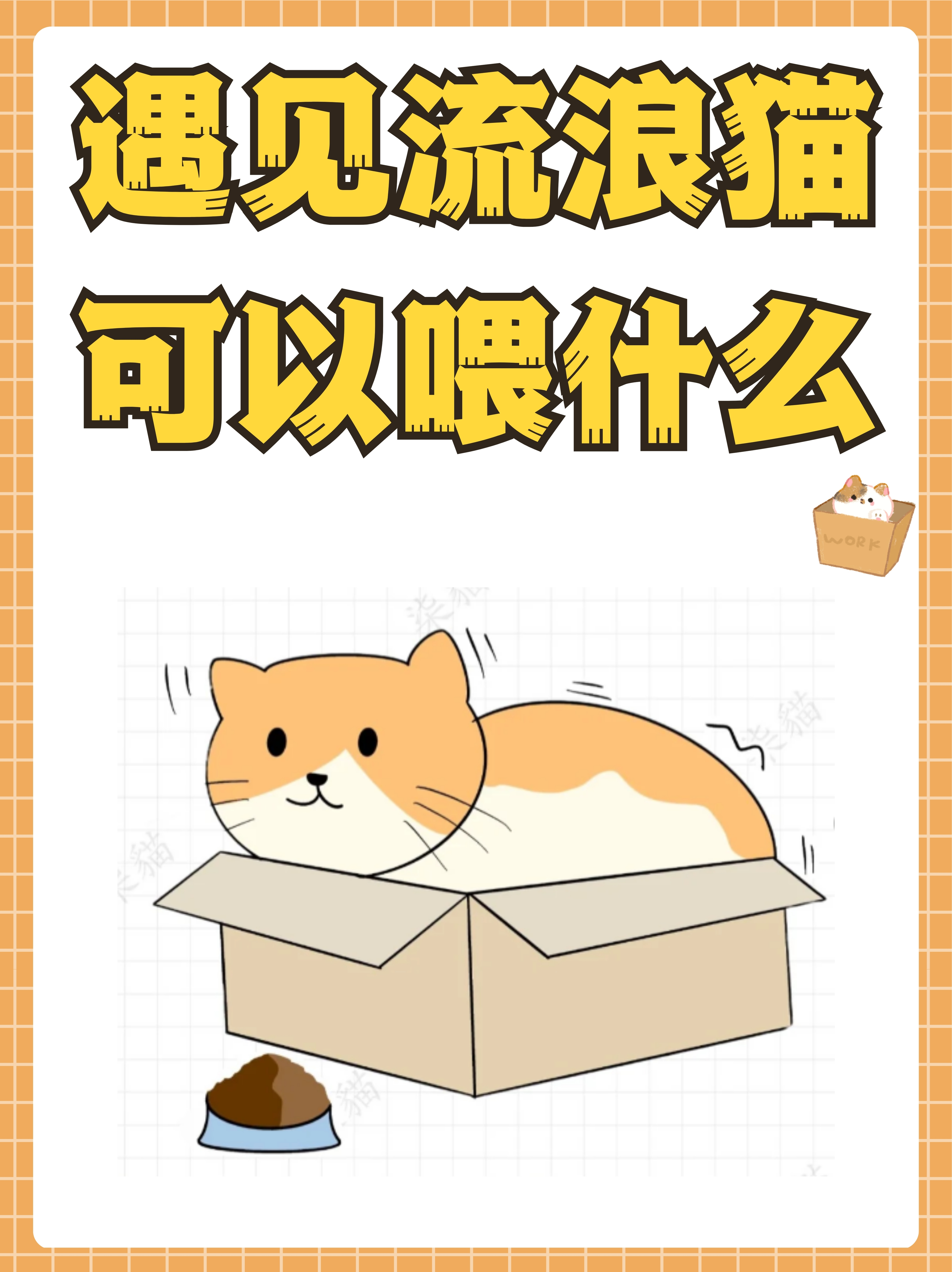 遇见流浪猫可以喂什么