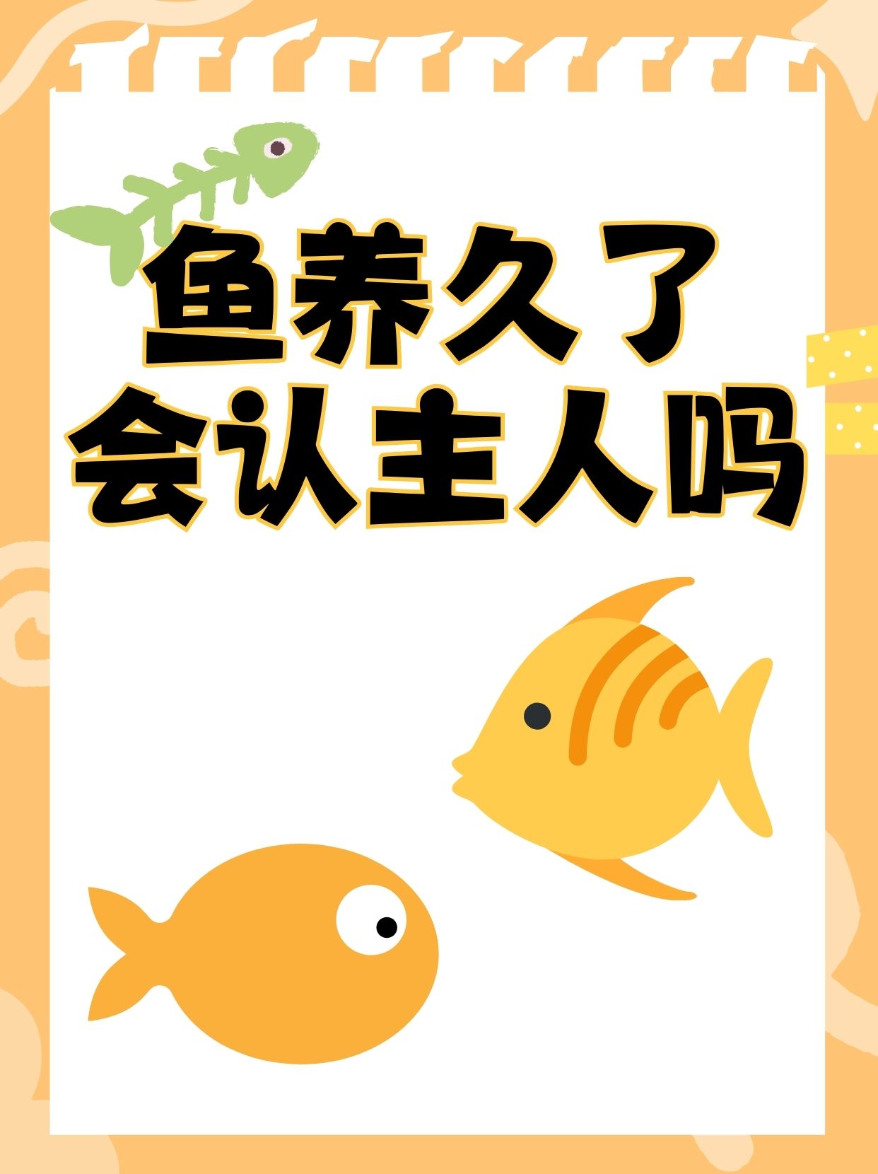 致富经养鱼(致富经养鱼2019全集)