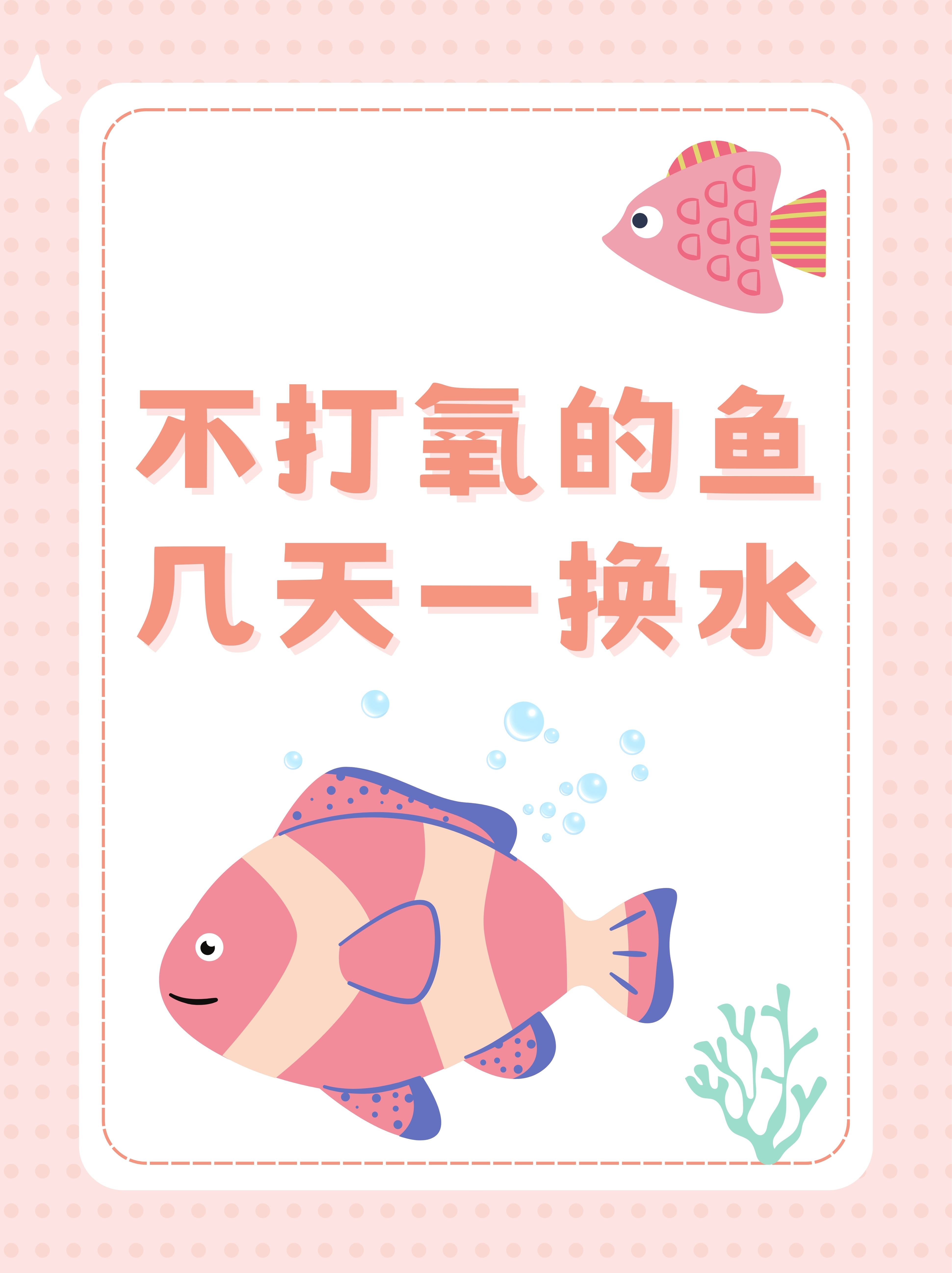 寻水的鱼抖音=寻水的鱼视频原唱