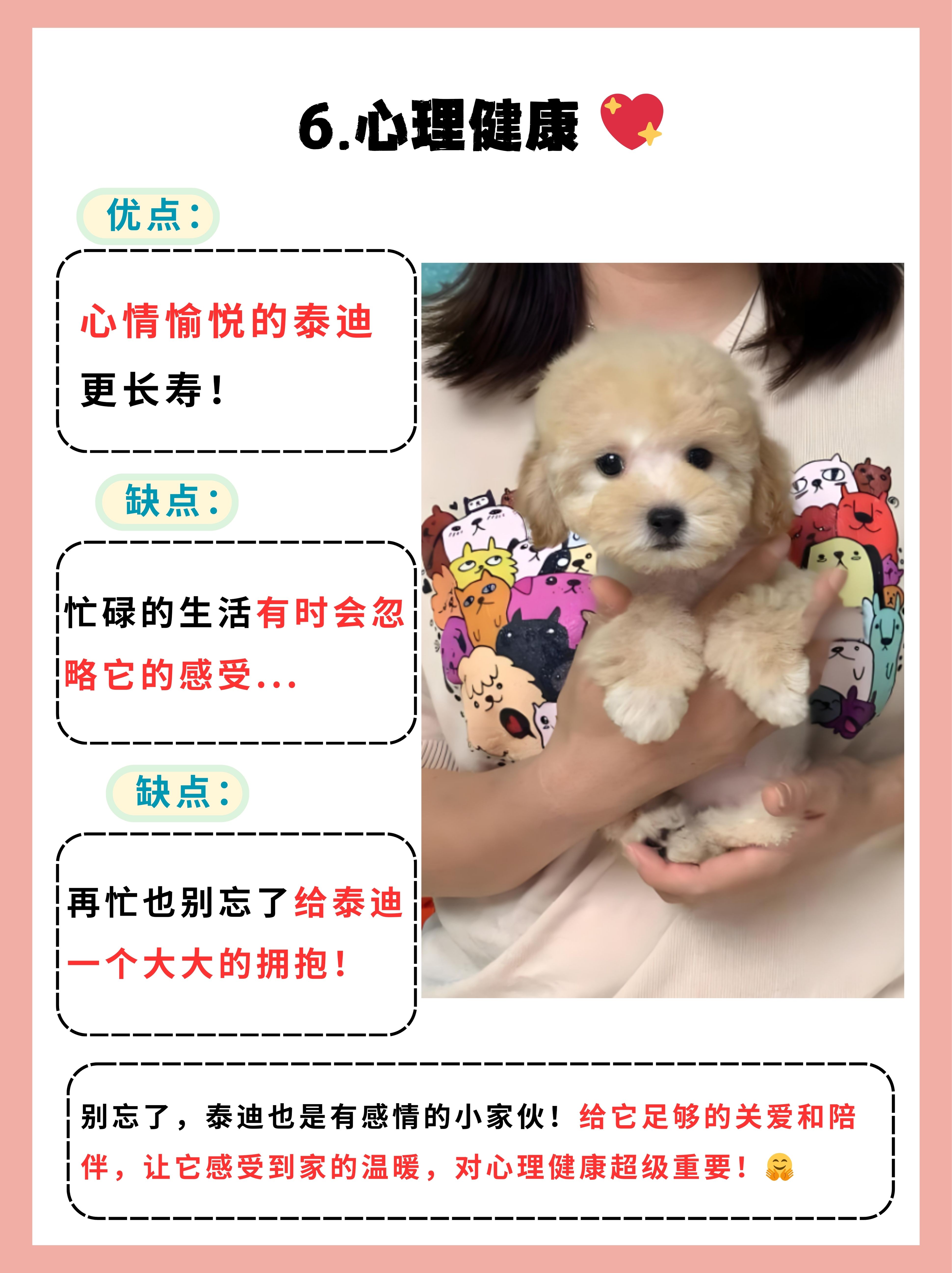 泰迪的寿命一般是多久  1.